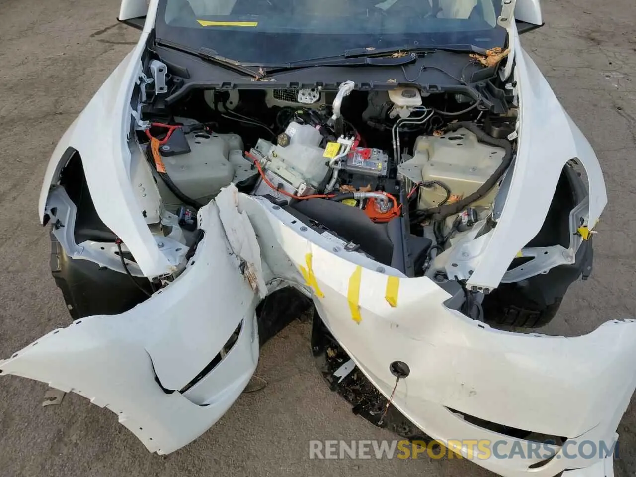 11 fotografías del automóvil dañado 7SAYGDEE5RF130688 TESLA MODEL Y 2024
