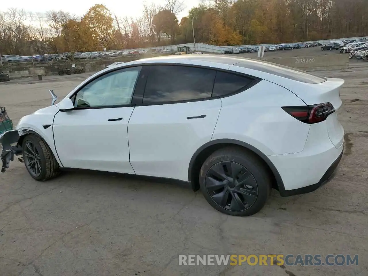 2 fotografías del automóvil dañado 7SAYGDEE5RF130688 TESLA MODEL Y 2024