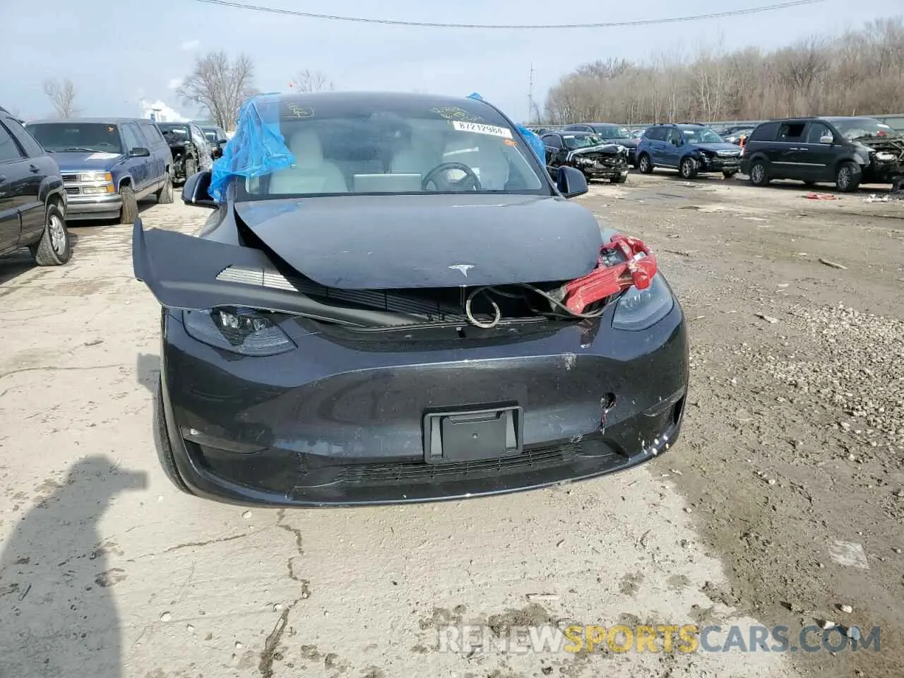 5 fotografías del automóvil dañado 7SAYGDEE5RF995614 TESLA MODEL Y 2024