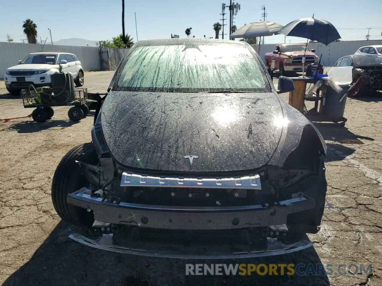 5 fotografías del automóvil dañado 7SAYGDEE6RA215519 TESLA MODEL Y 2024
