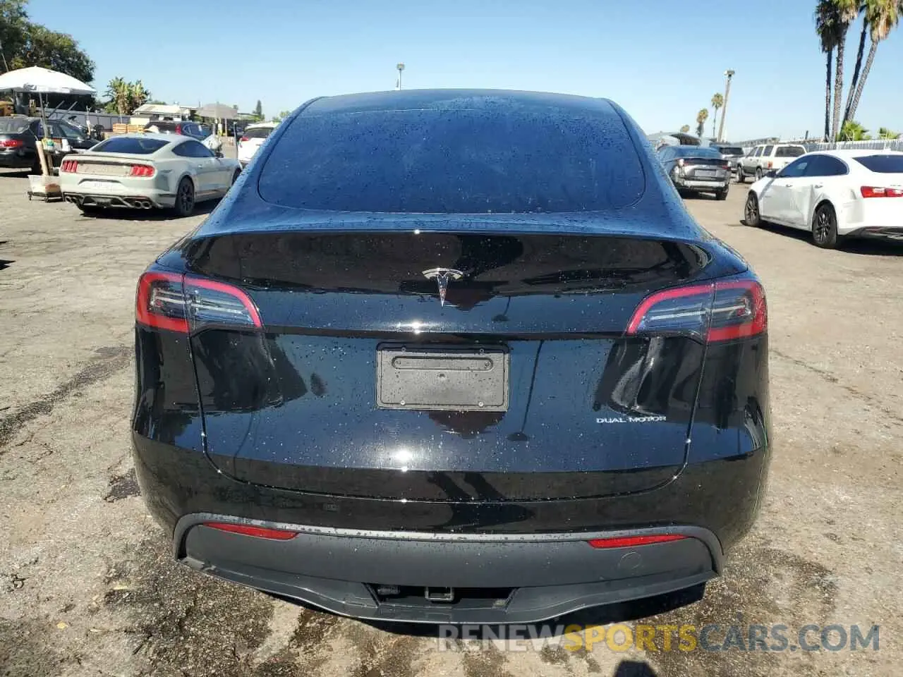 6 fotografías del automóvil dañado 7SAYGDEE6RA215519 TESLA MODEL Y 2024