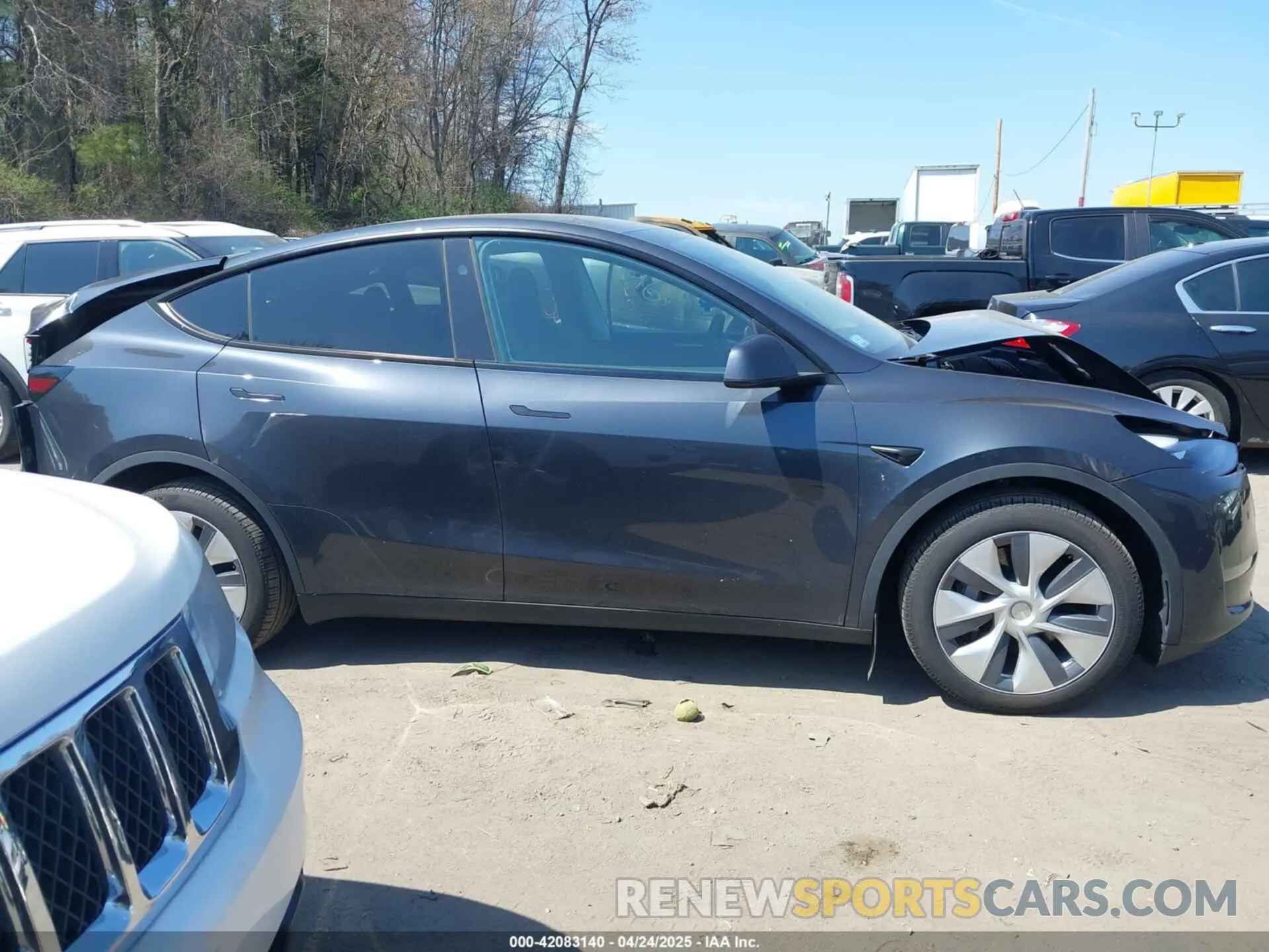 13 fotografías del automóvil dañado 7SAYGDEE6RA225161 TESLA MODEL Y 2024