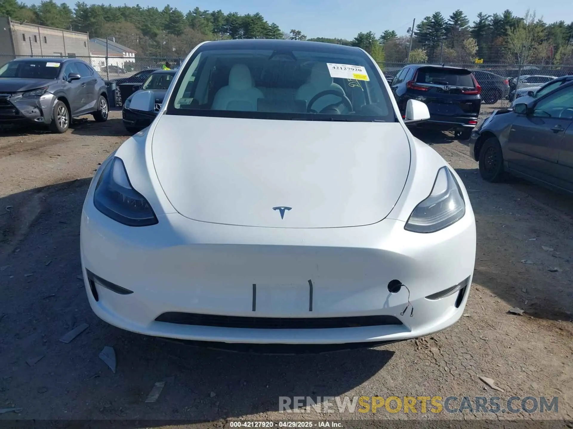 12 fotografías del automóvil dañado 7SAYGDEE6RA269435 TESLA MODEL Y 2024
