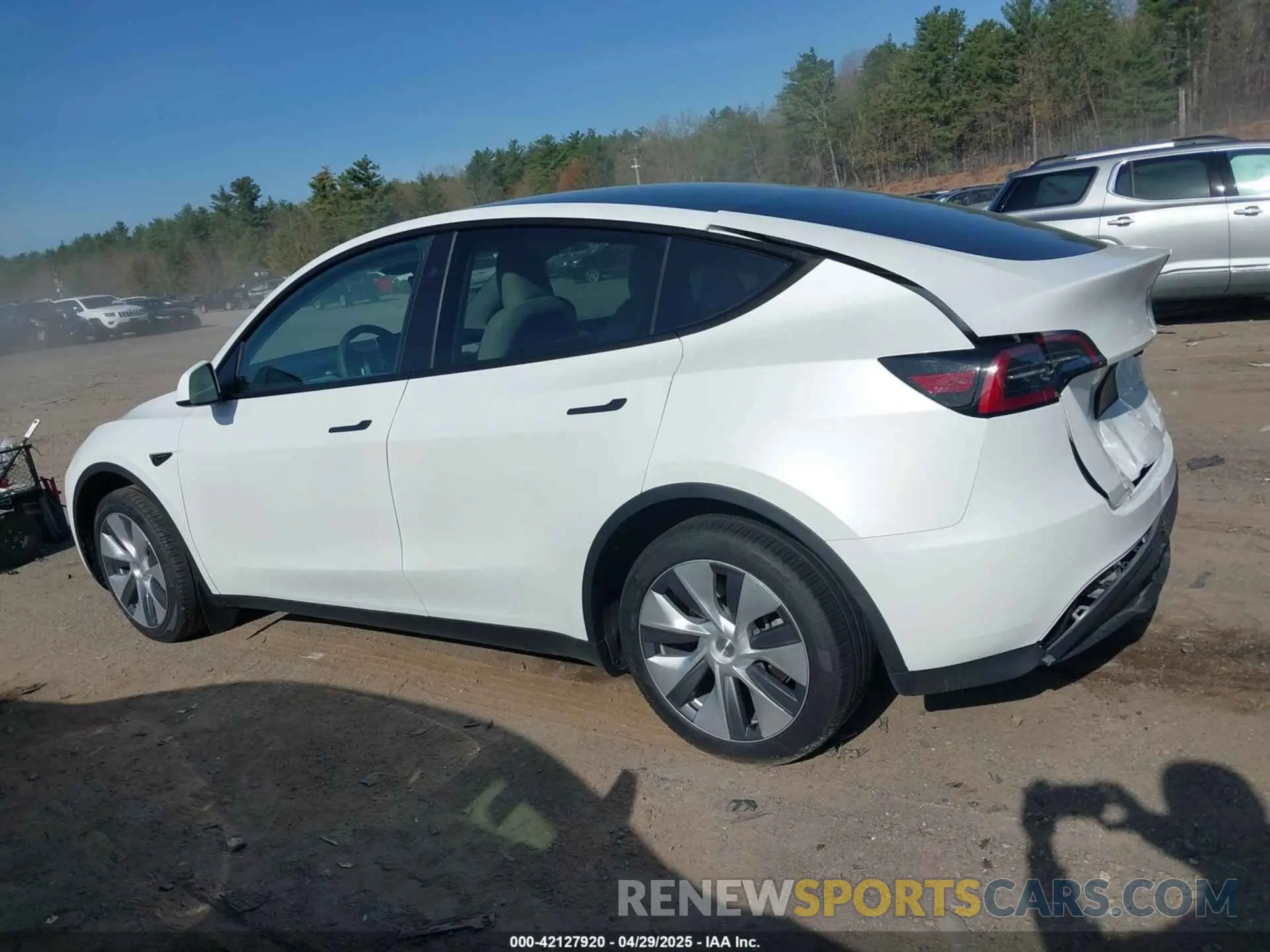 14 fotografías del automóvil dañado 7SAYGDEE6RA269435 TESLA MODEL Y 2024