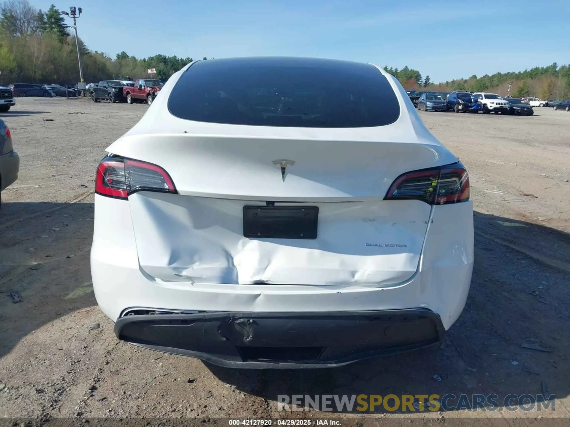 16 fotografías del automóvil dañado 7SAYGDEE6RA269435 TESLA MODEL Y 2024