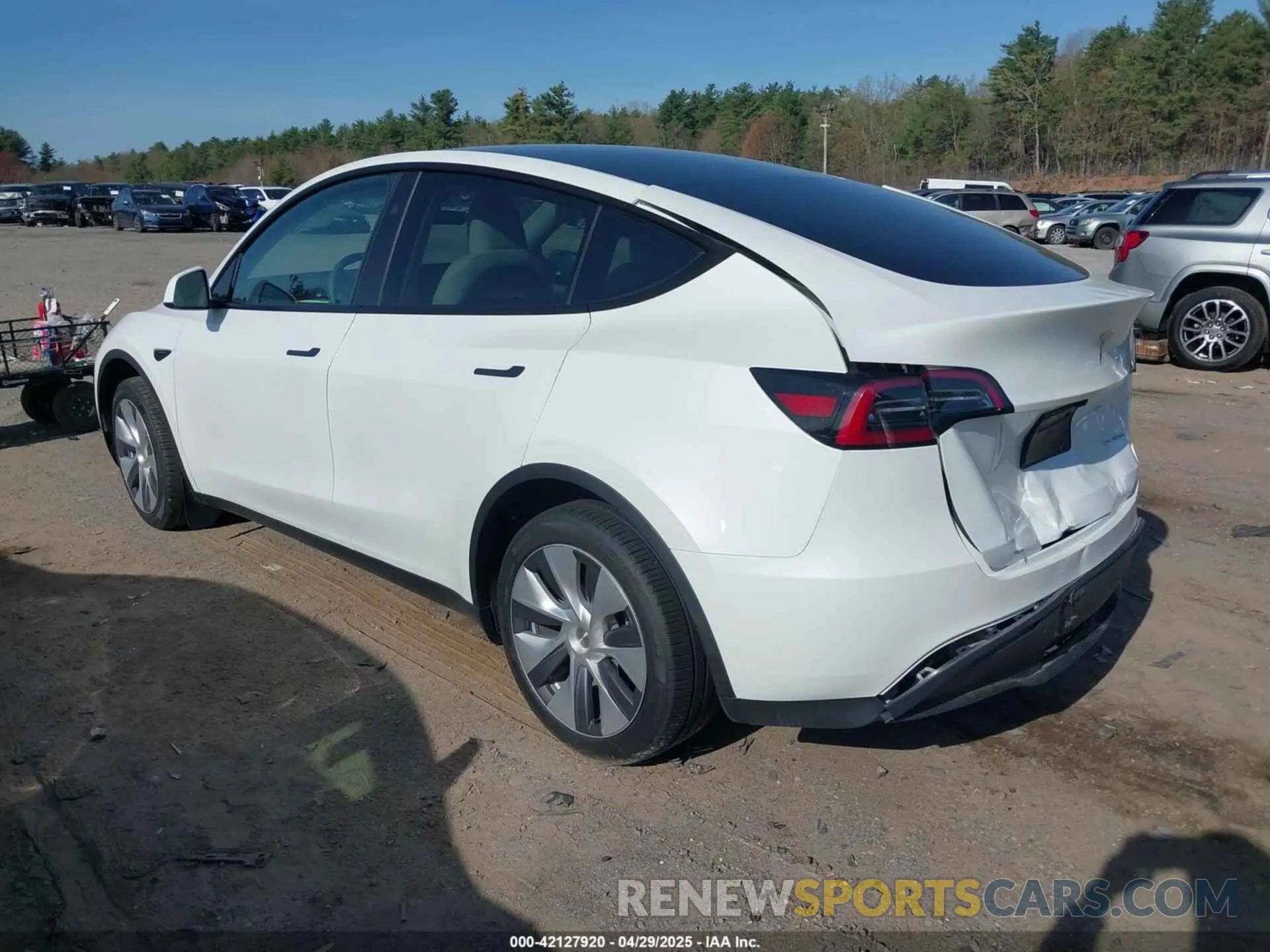 3 fotografías del automóvil dañado 7SAYGDEE6RA269435 TESLA MODEL Y 2024