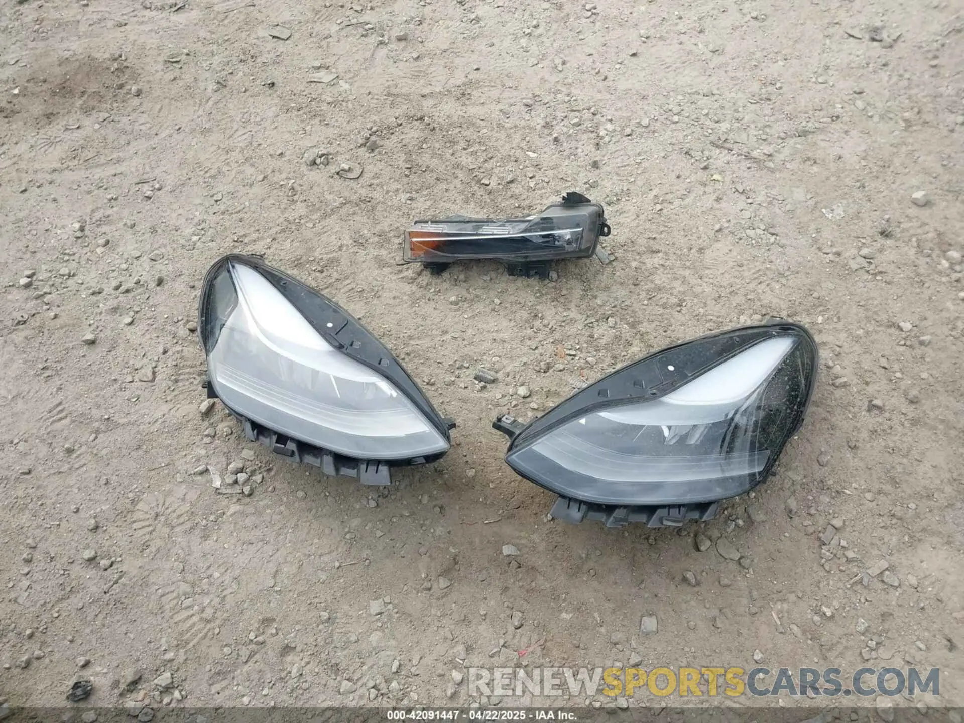 12 fotografías del automóvil dañado 7SAYGDEE6RA271573 TESLA MODEL Y 2024