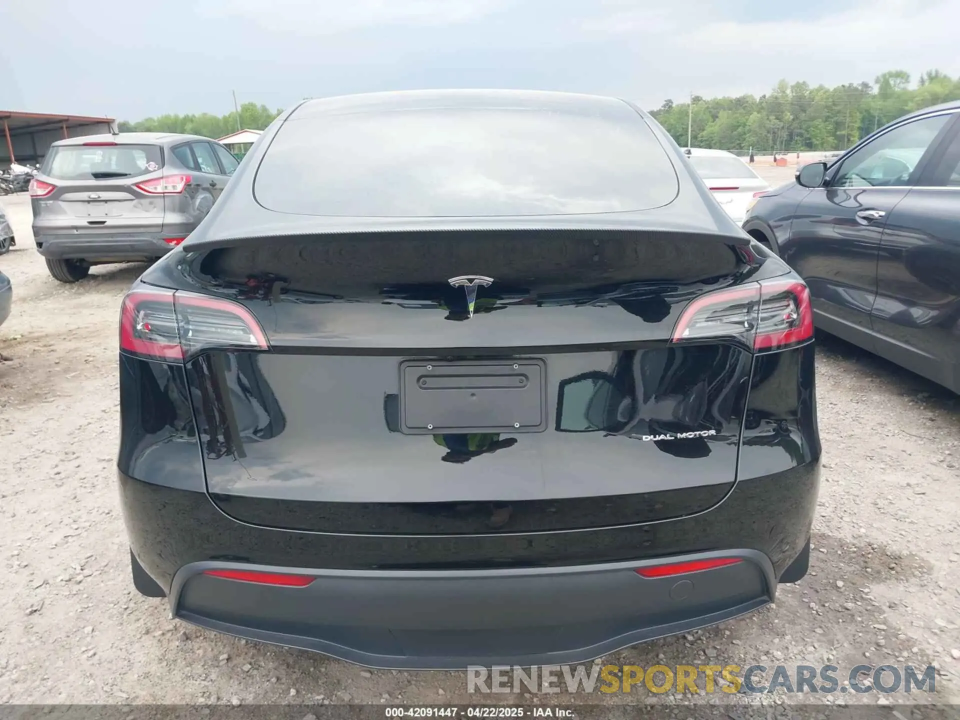17 fotografías del automóvil dañado 7SAYGDEE6RA271573 TESLA MODEL Y 2024
