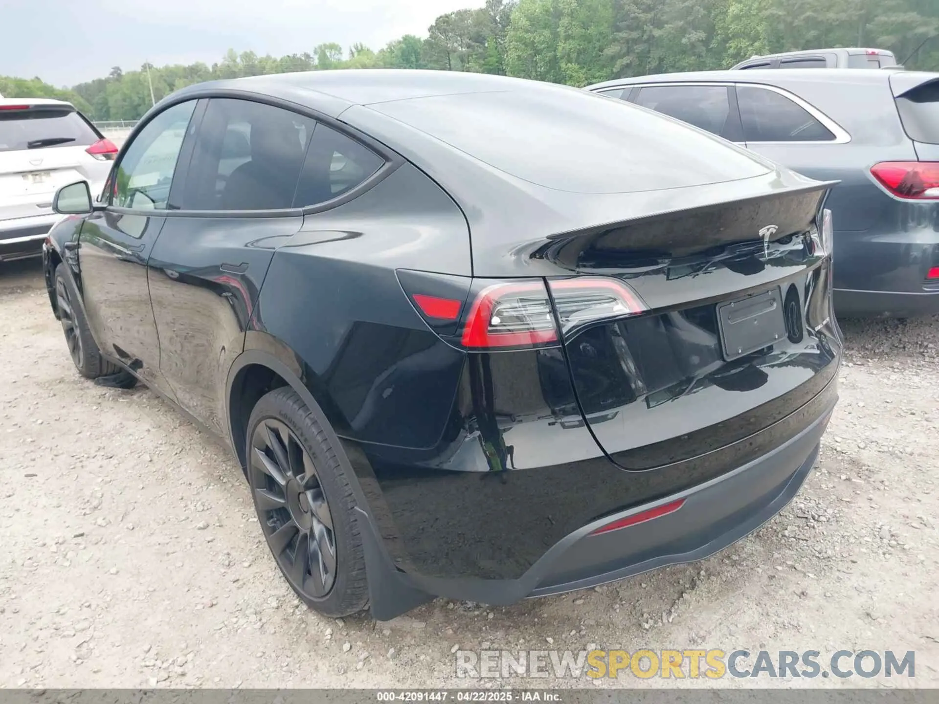 3 fotografías del automóvil dañado 7SAYGDEE6RA271573 TESLA MODEL Y 2024