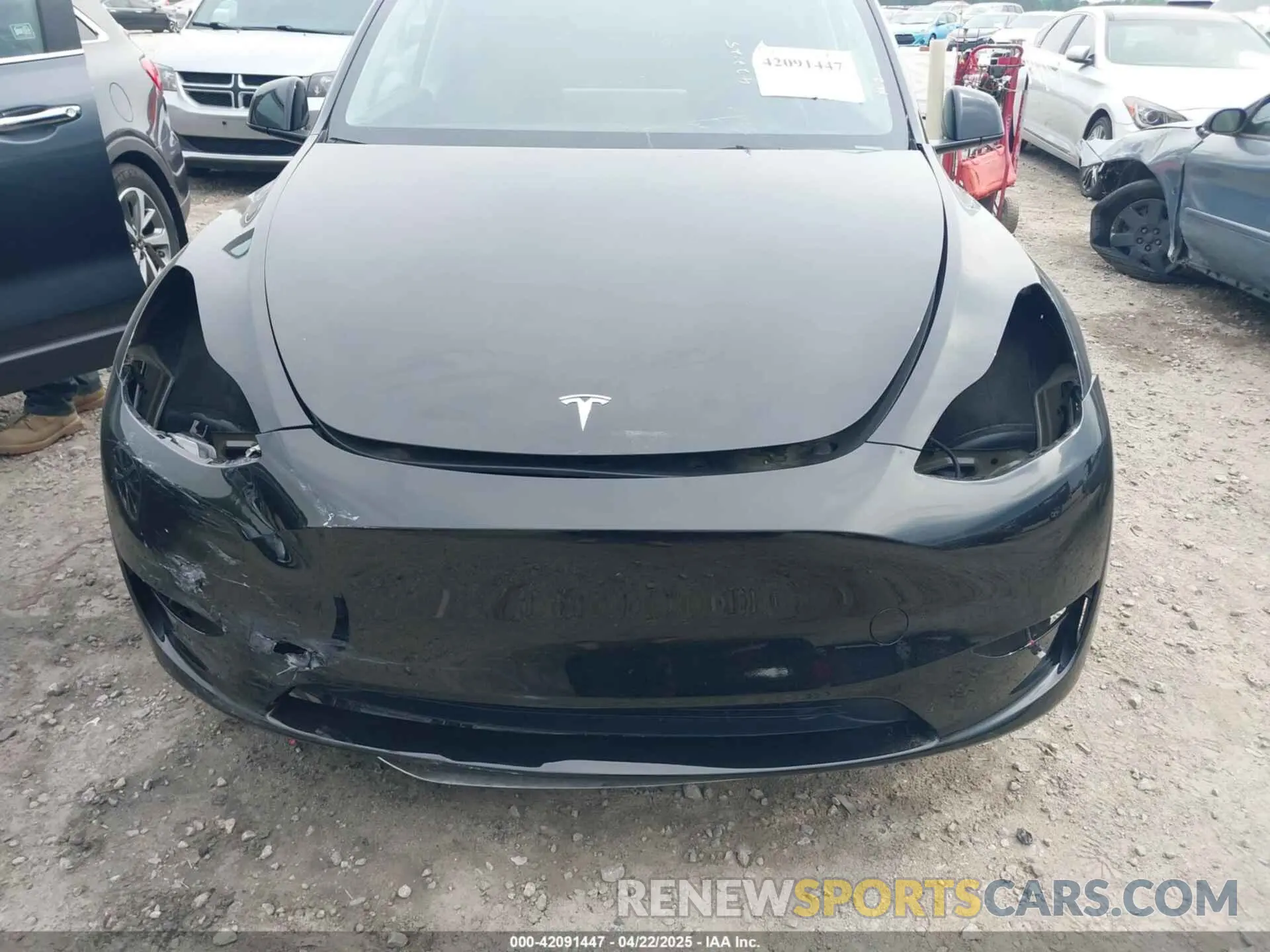 6 fotografías del automóvil dañado 7SAYGDEE6RA271573 TESLA MODEL Y 2024