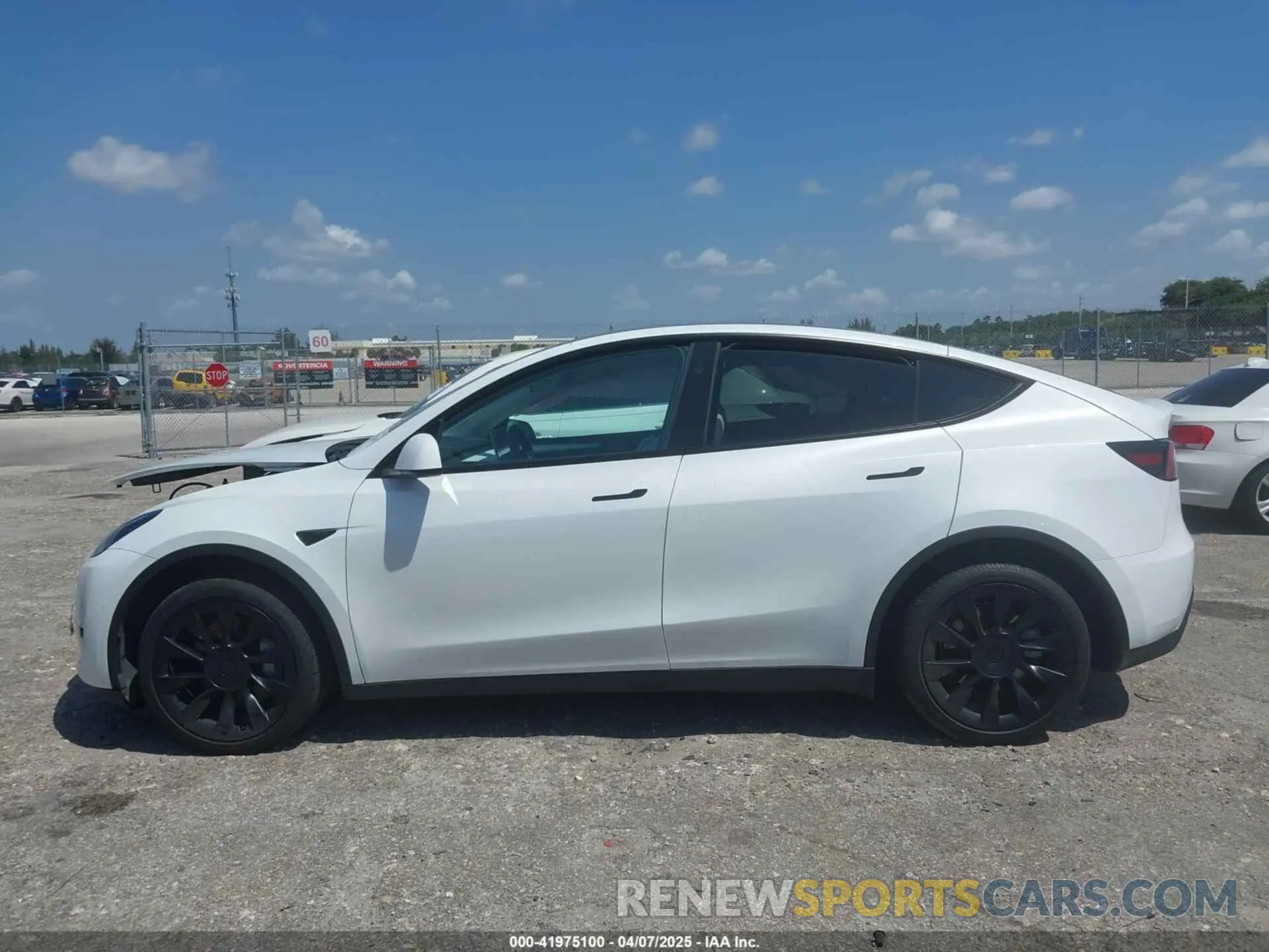 13 fotografías del automóvil dañado 7SAYGDEE6RA292939 TESLA MODEL Y 2024