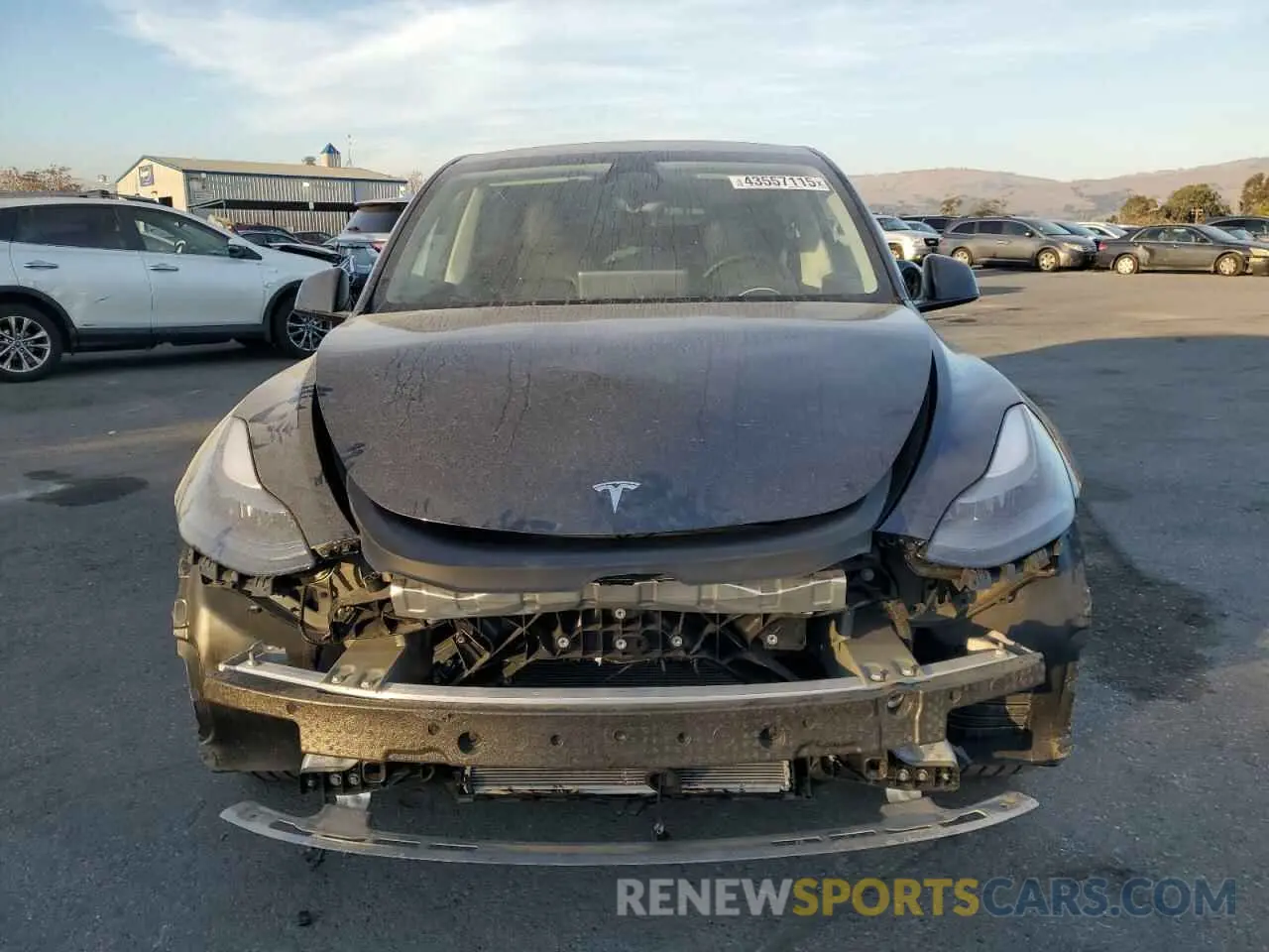 5 fotografías del automóvil dañado 7SAYGDEE6RF013752 TESLA MODEL Y 2024