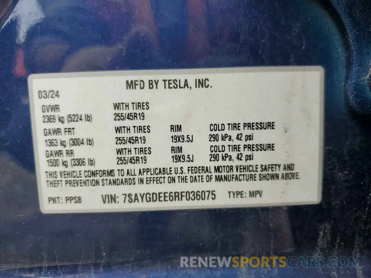 12 fotografías del automóvil dañado 7SAYGDEE6RF036075 TESLA MODEL Y 2024