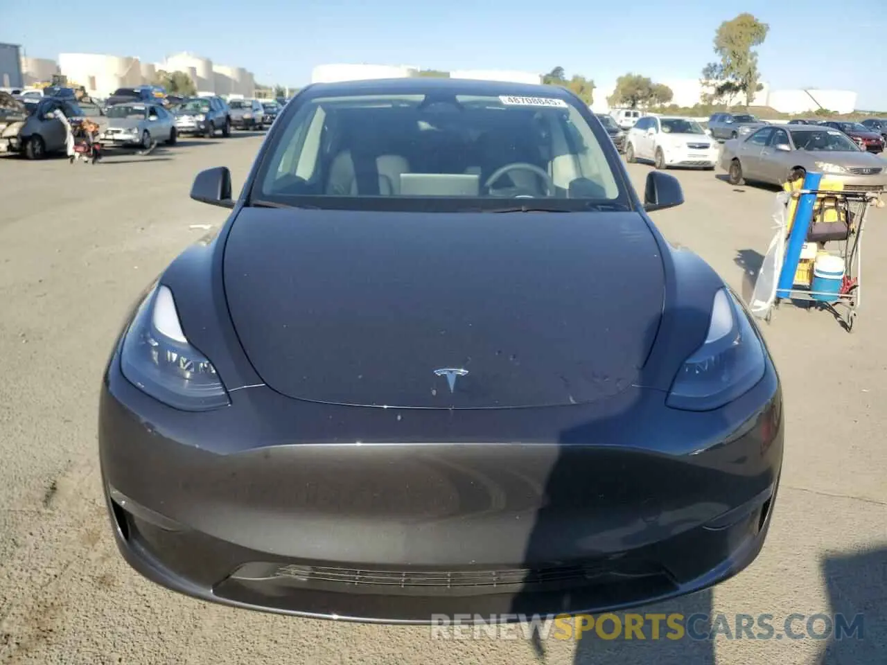 5 fotografías del automóvil dañado 7SAYGDEE6RF060859 TESLA MODEL Y 2024
