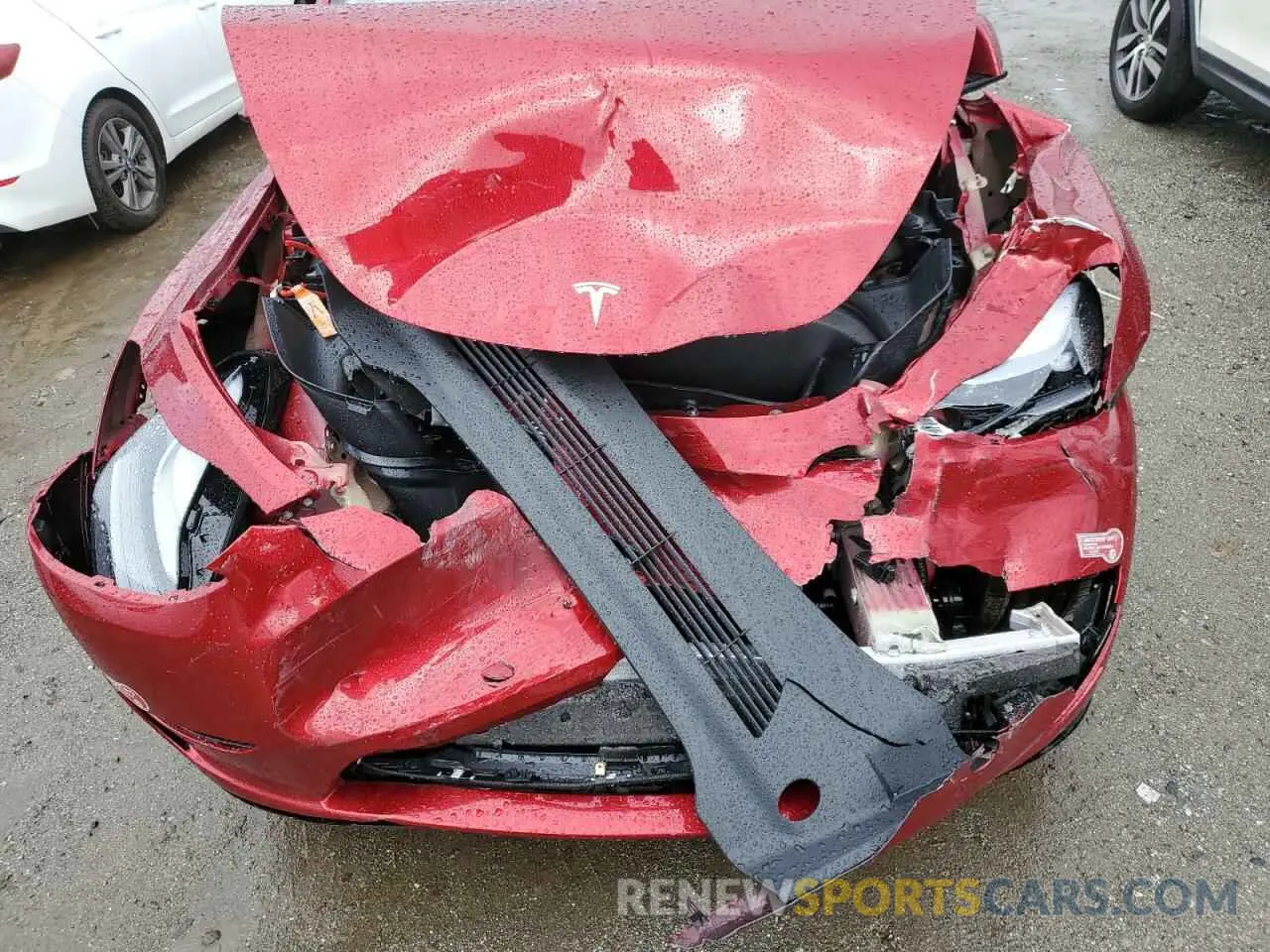 11 fotografías del automóvil dañado 7SAYGDEE6RF133308 TESLA MODEL Y 2024
