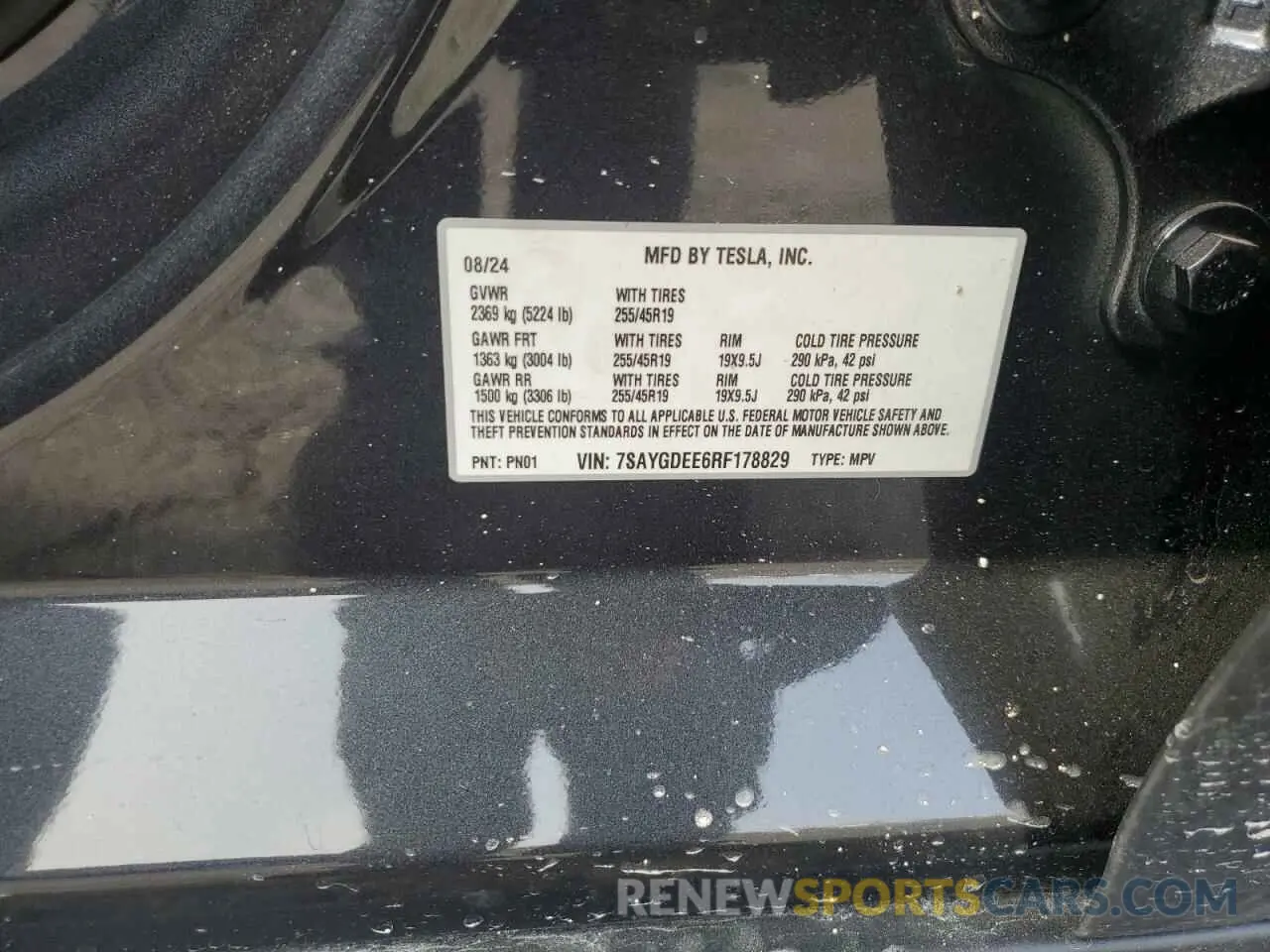 13 fotografías del automóvil dañado 7SAYGDEE6RF178829 TESLA MODEL Y 2024