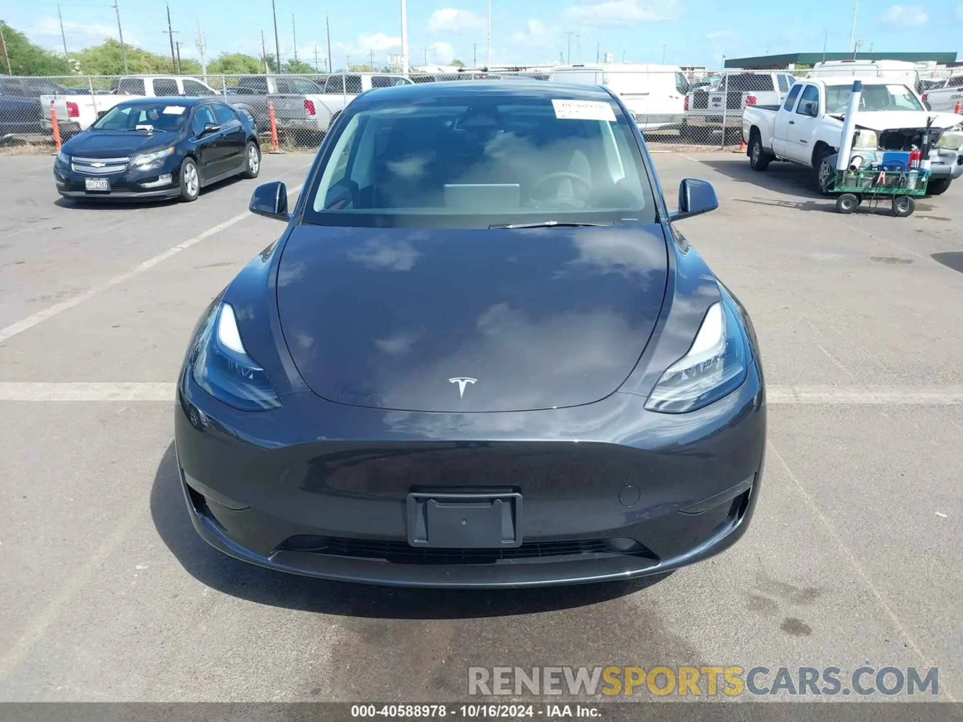 13 fotografías del automóvil dañado 7SAYGDEE6RF183836 TESLA MODEL Y 2024