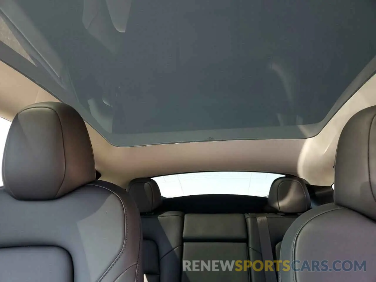 10 fotografías del automóvil dañado 7SAYGDEE6RF988459 TESLA MODEL Y 2024