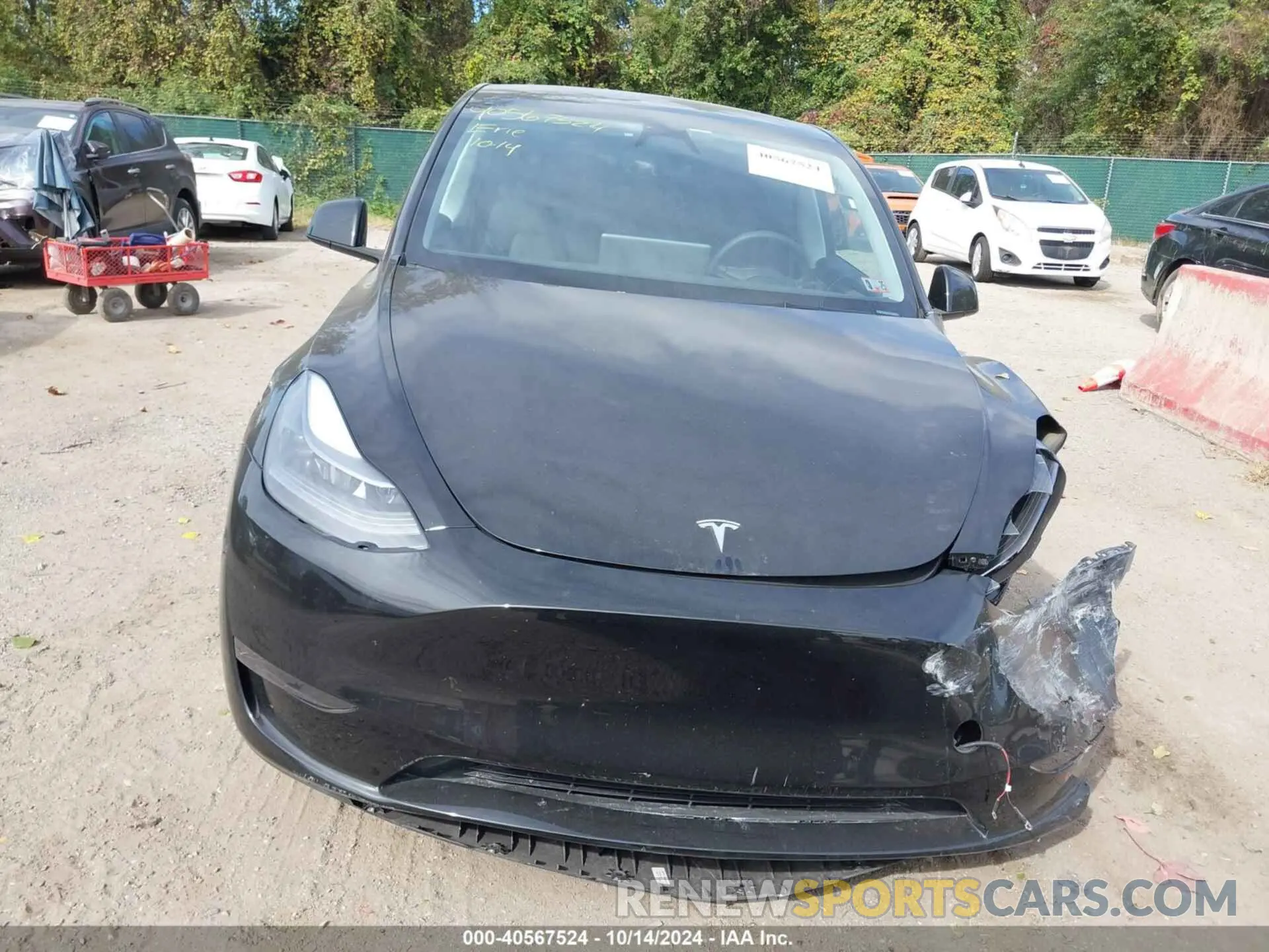 13 fotografías del automóvil dañado 7SAYGDEE7RA235097 TESLA MODEL Y 2024