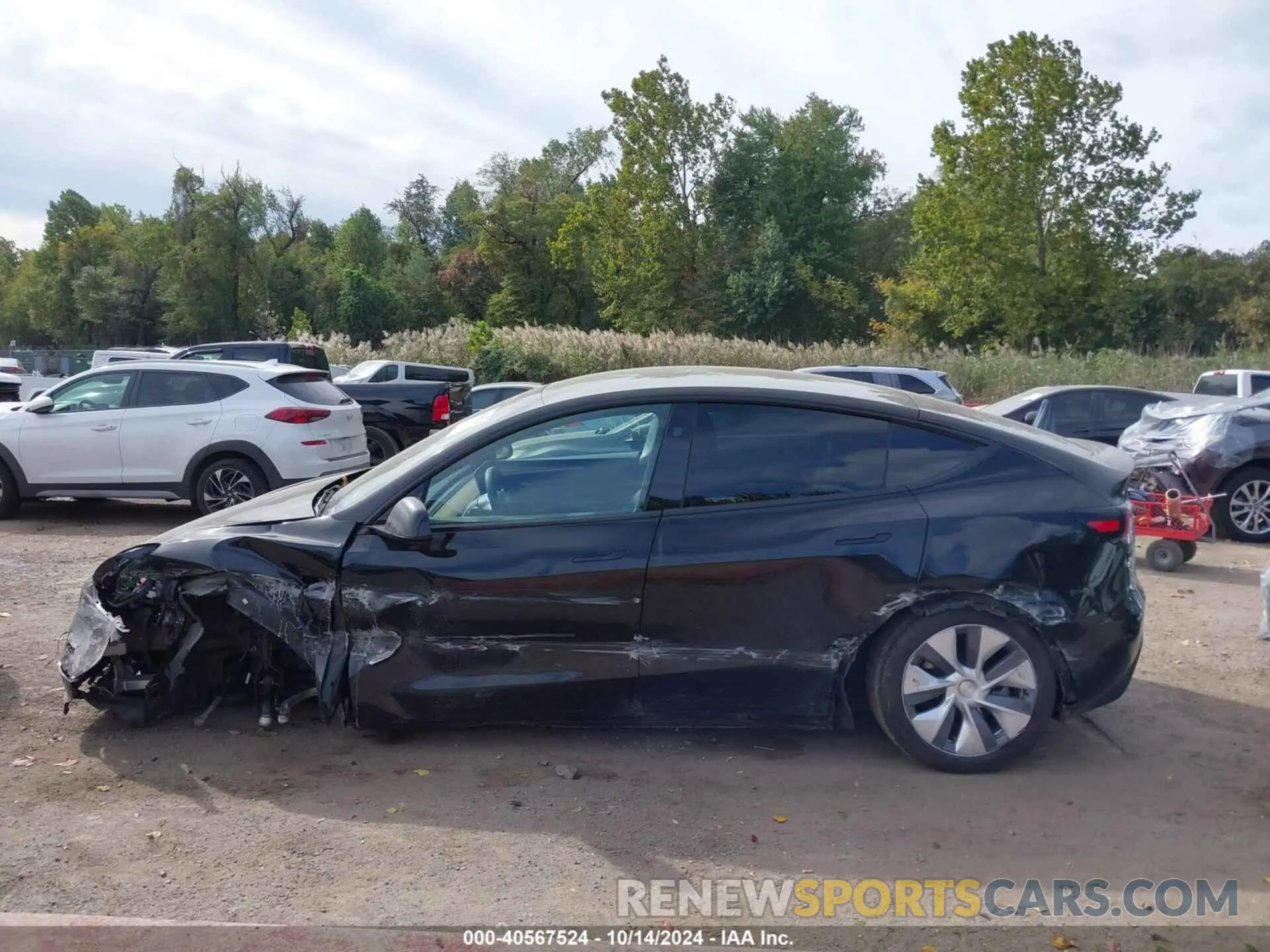 15 fotografías del automóvil dañado 7SAYGDEE7RA235097 TESLA MODEL Y 2024