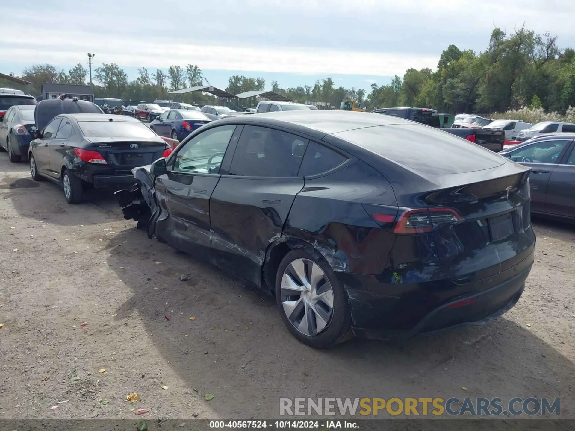 3 fotografías del automóvil dañado 7SAYGDEE7RA235097 TESLA MODEL Y 2024
