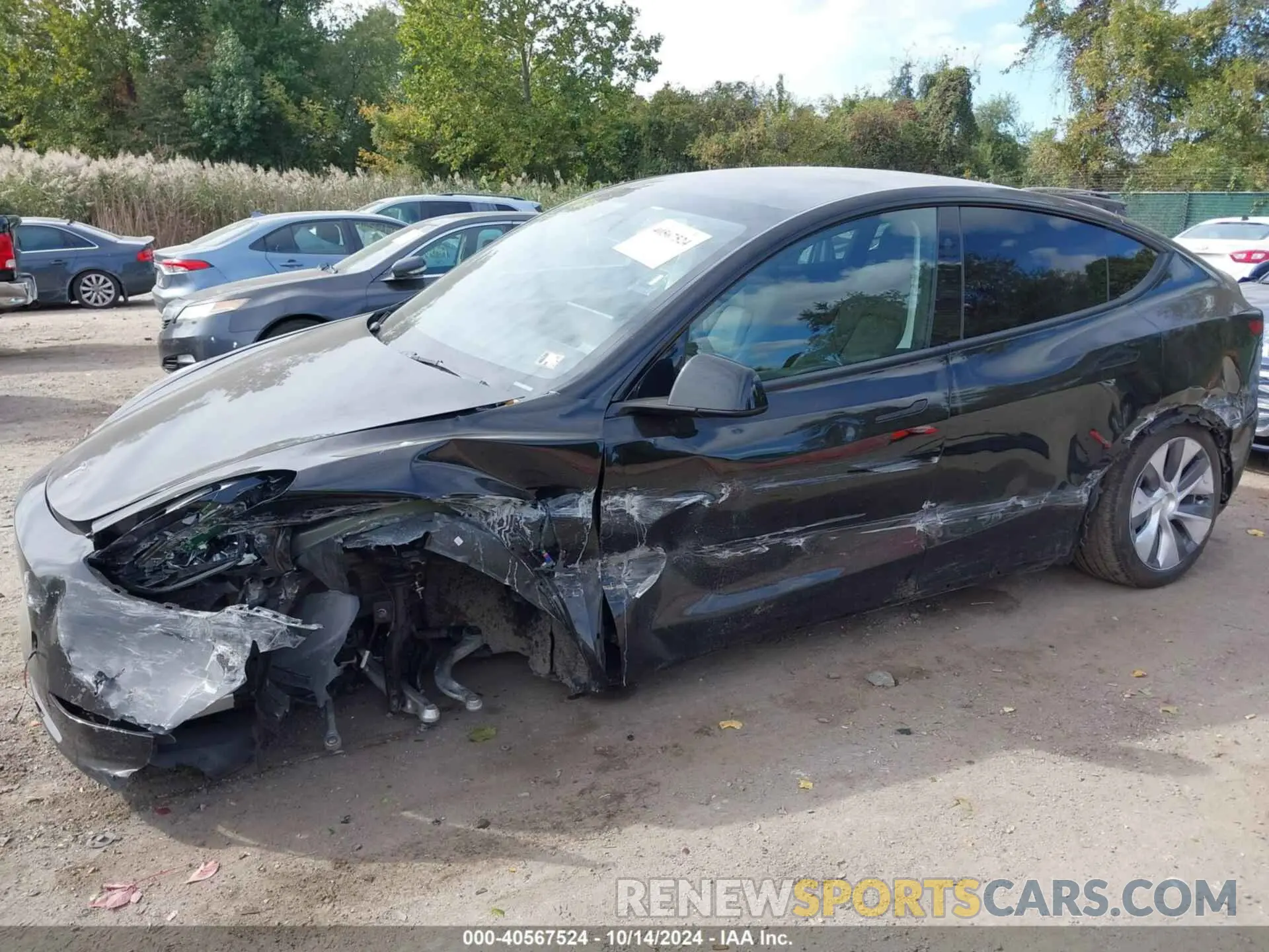 6 fotografías del automóvil dañado 7SAYGDEE7RA235097 TESLA MODEL Y 2024