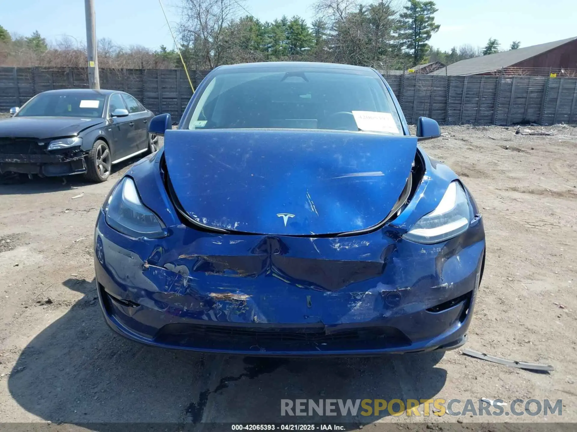 12 fotografías del automóvil dañado 7SAYGDEE7RA240977 TESLA MODEL Y 2024