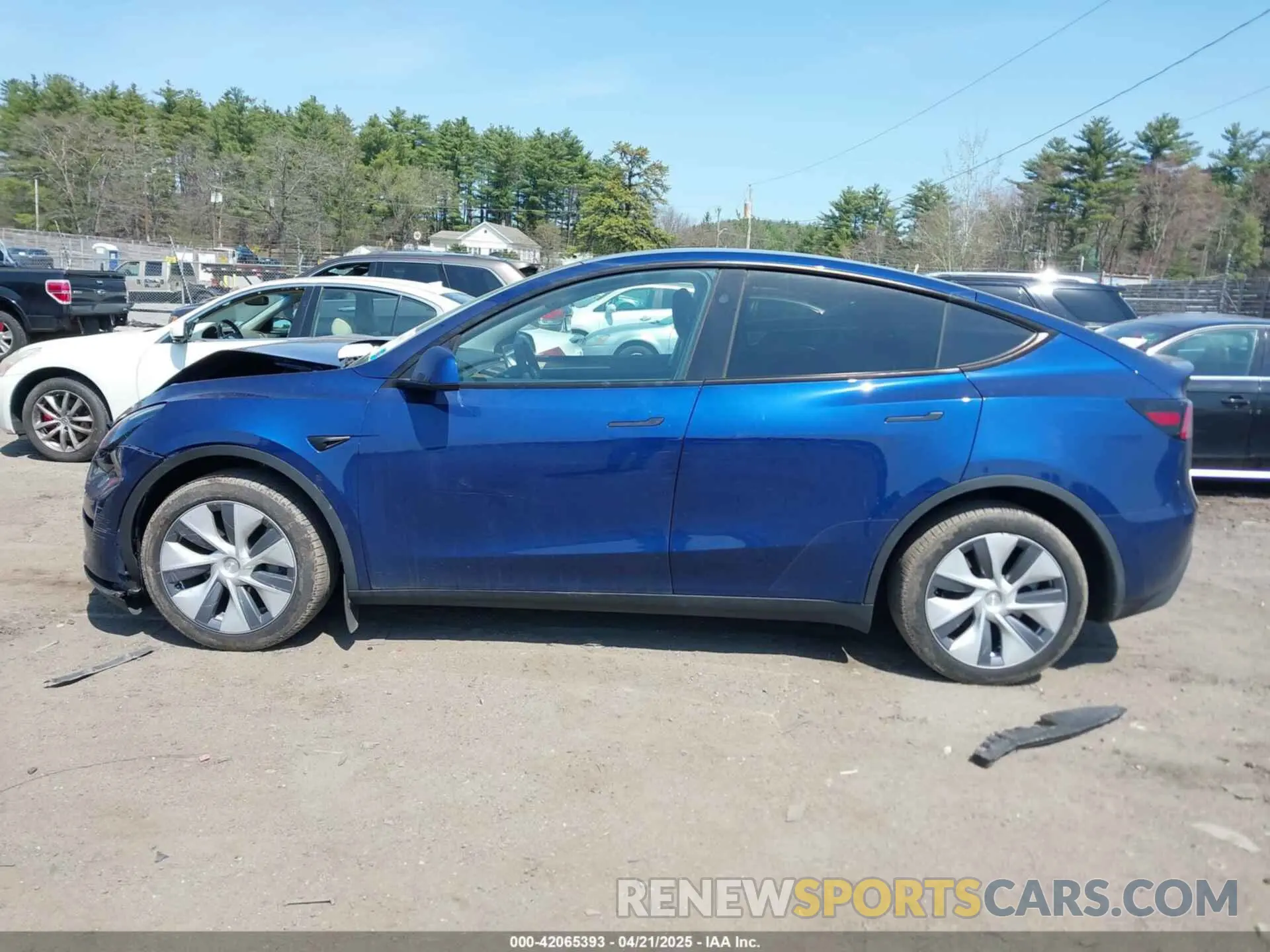 14 fotografías del automóvil dañado 7SAYGDEE7RA240977 TESLA MODEL Y 2024