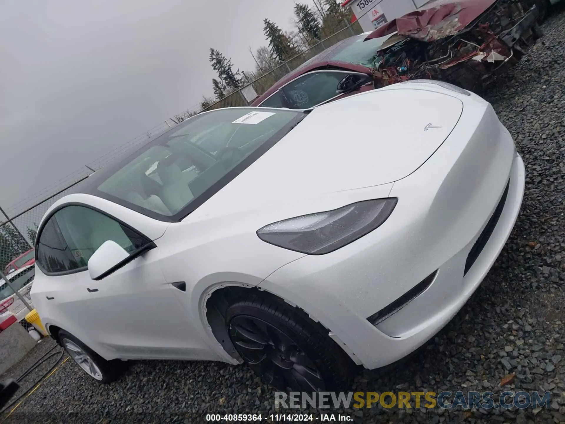 14 fotografías del automóvil dañado 7SAYGDEE7RF083700 TESLA MODEL Y 2024
