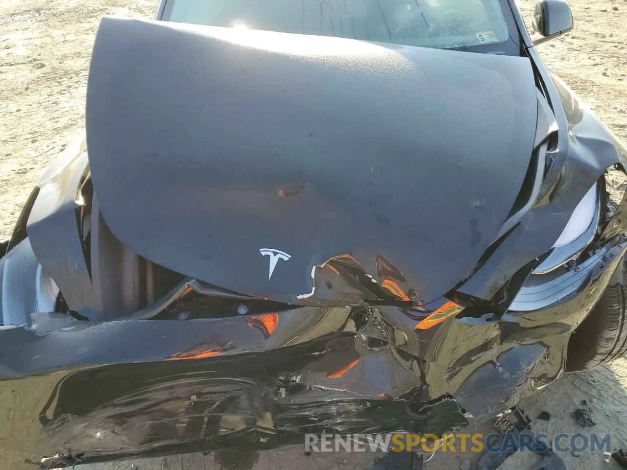 13 fotografías del automóvil dañado 7SAYGDEE7RF200983 TESLA MODEL Y 2024