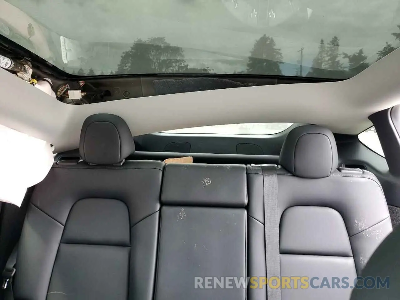 10 fotografías del automóvil dañado 7SAYGDEE7RF985344 TESLA MODEL Y 2024