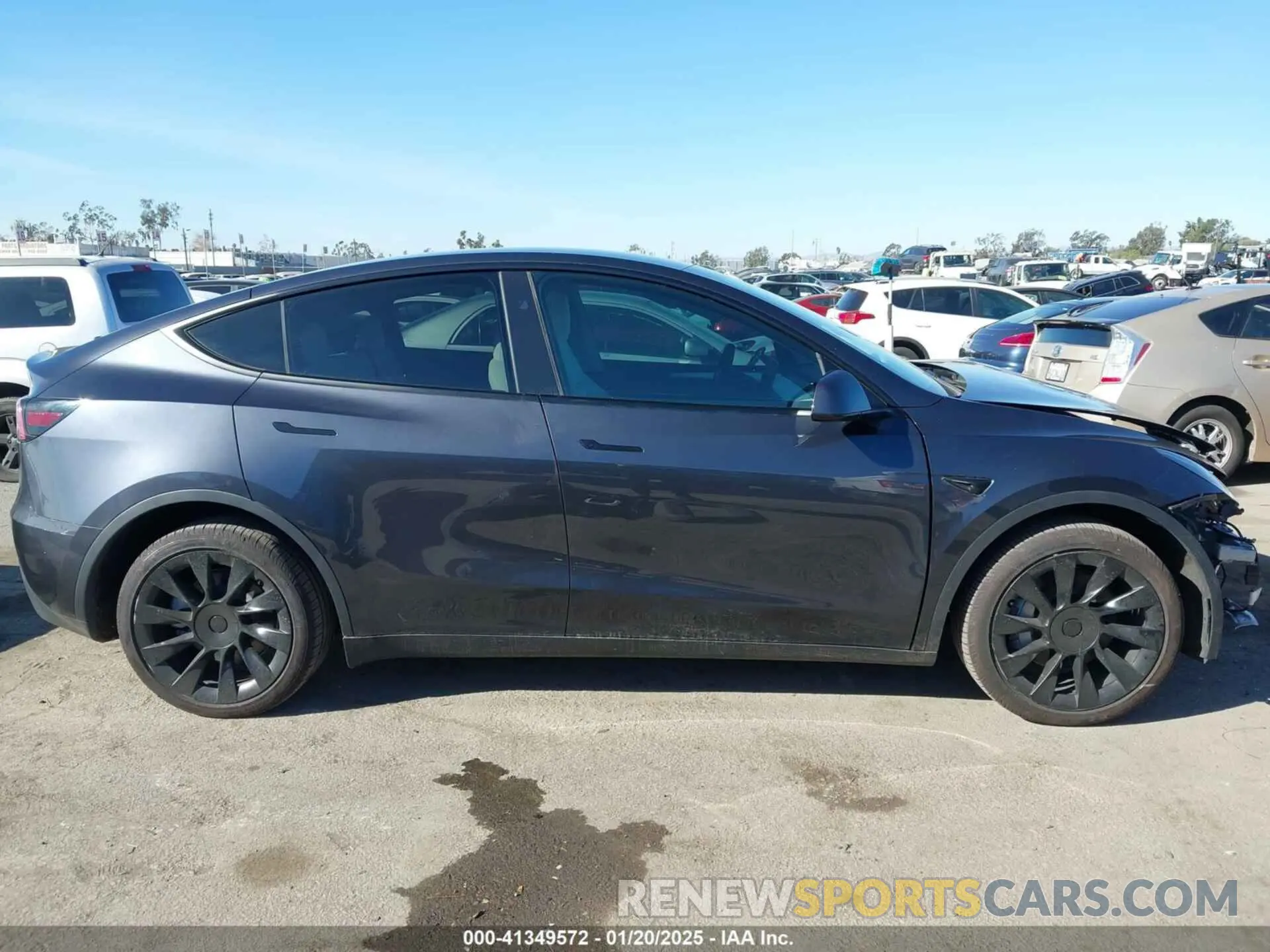 14 fotografías del automóvil dañado 7SAYGDEE8RA238834 TESLA MODEL Y 2024