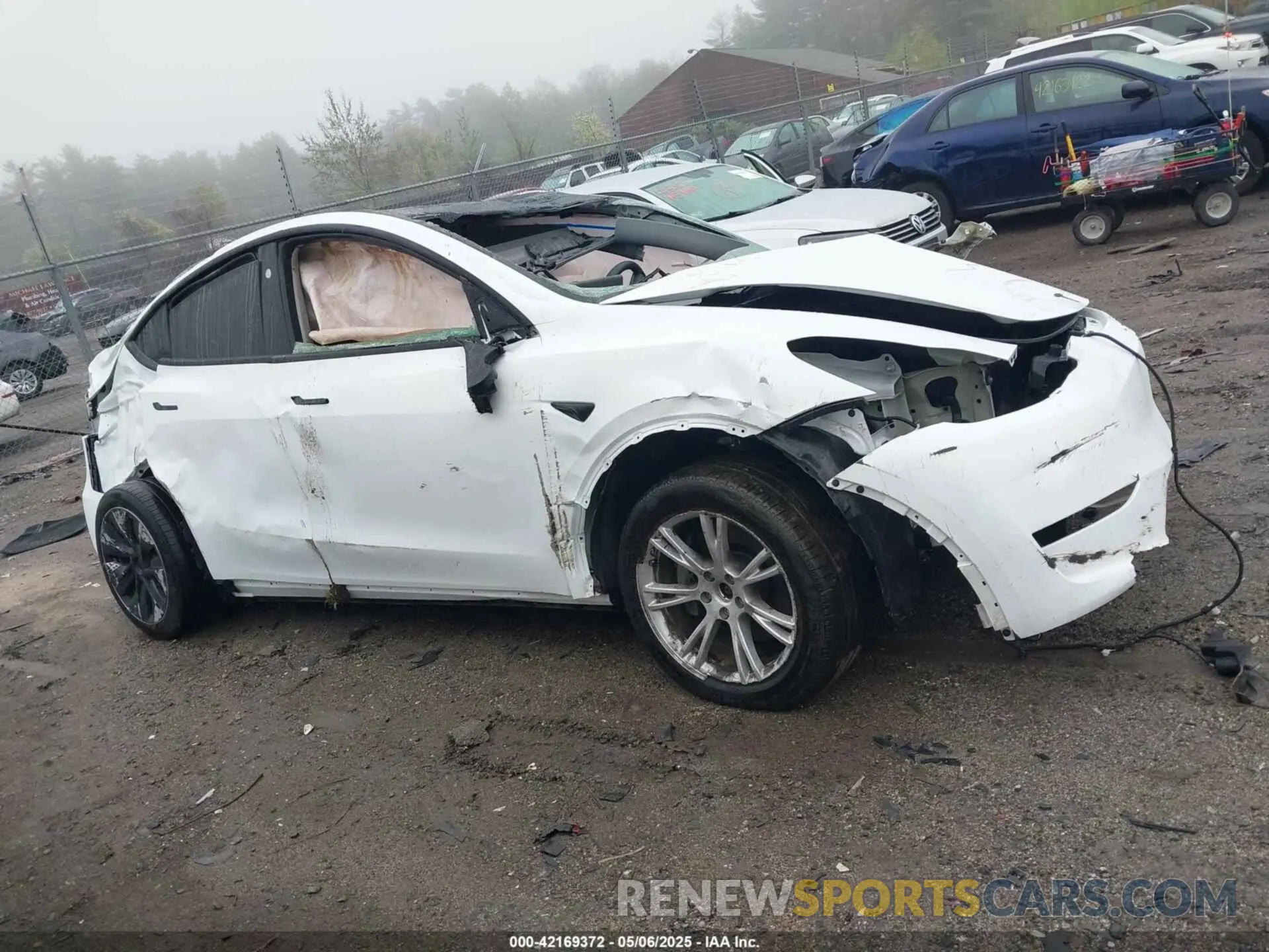 13 fotografías del automóvil dañado 7SAYGDEE8RA258565 TESLA MODEL Y 2024