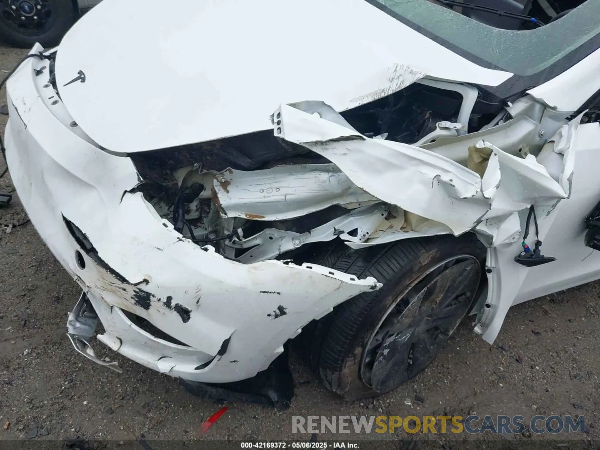 6 fotografías del automóvil dañado 7SAYGDEE8RA258565 TESLA MODEL Y 2024
