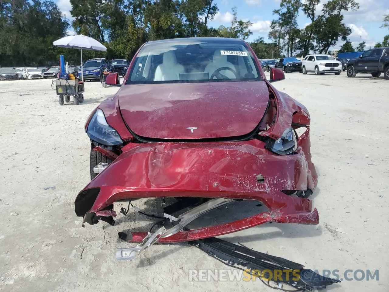 5 fotografías del automóvil dañado 7SAYGDEE8RA307991 TESLA MODEL Y 2024