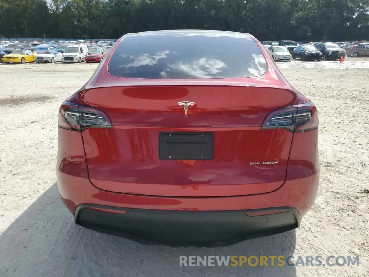 6 fotografías del automóvil dañado 7SAYGDEE8RA307991 TESLA MODEL Y 2024