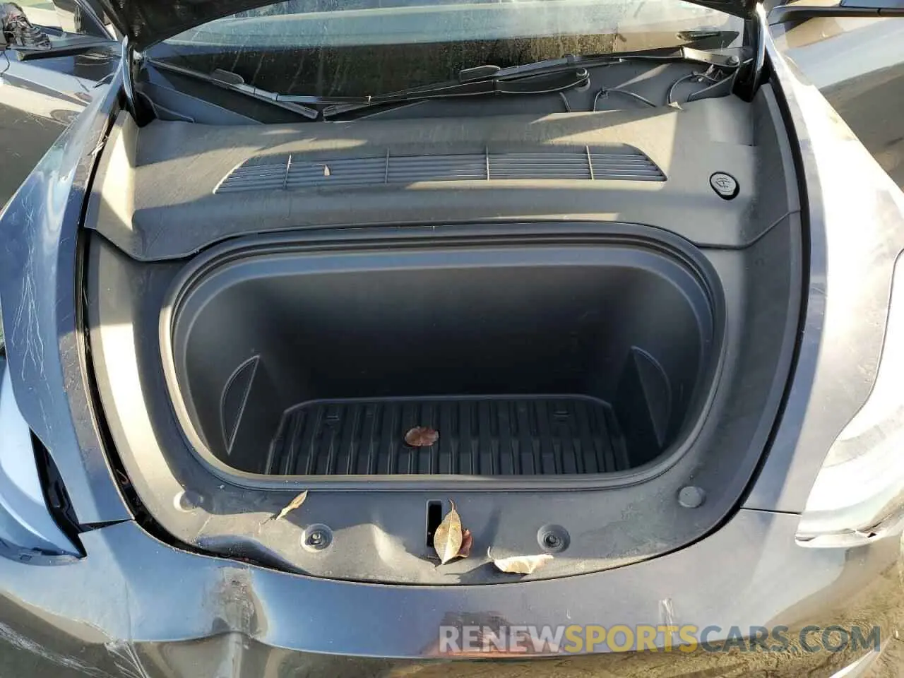 12 fotografías del automóvil dañado 7SAYGDEE8RF119829 TESLA MODEL Y 2024