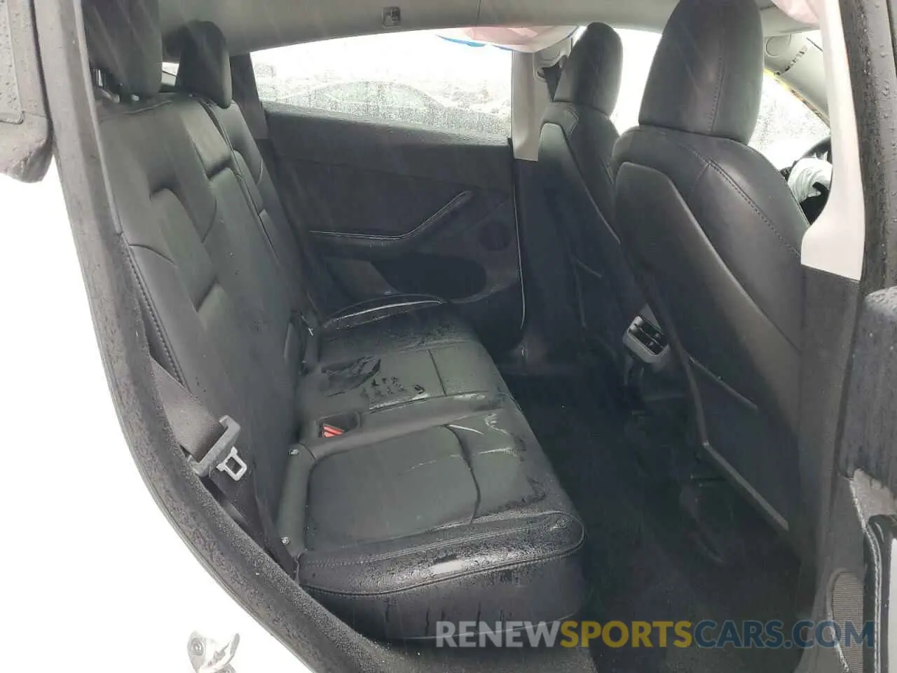 11 fotografías del automóvil dañado 7SAYGDEE8RF167265 TESLA MODEL Y 2024