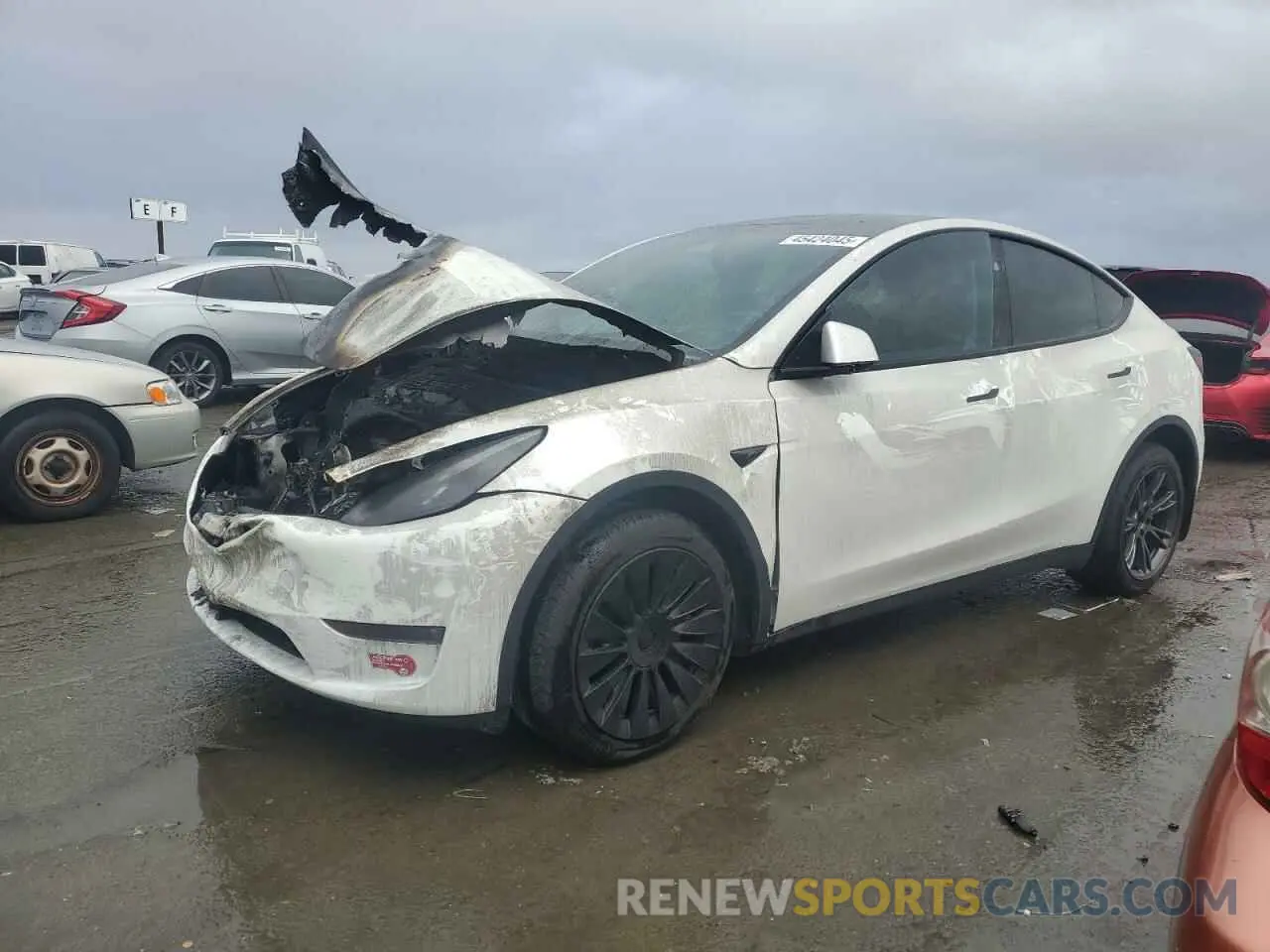 1 fotografías del automóvil dañado 7SAYGDEE8RF184292 TESLA MODEL Y 2024