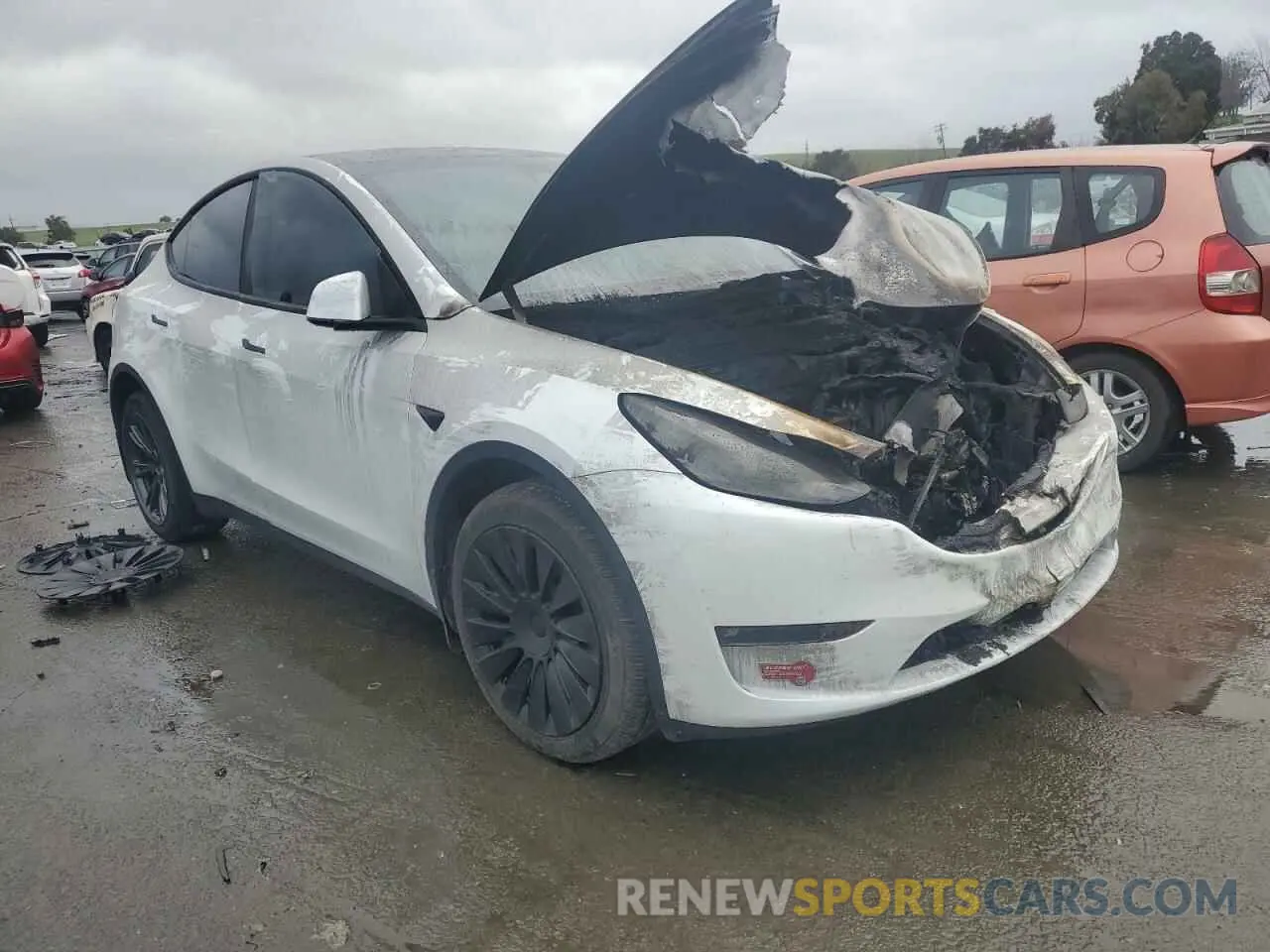 4 fotografías del automóvil dañado 7SAYGDEE8RF184292 TESLA MODEL Y 2024