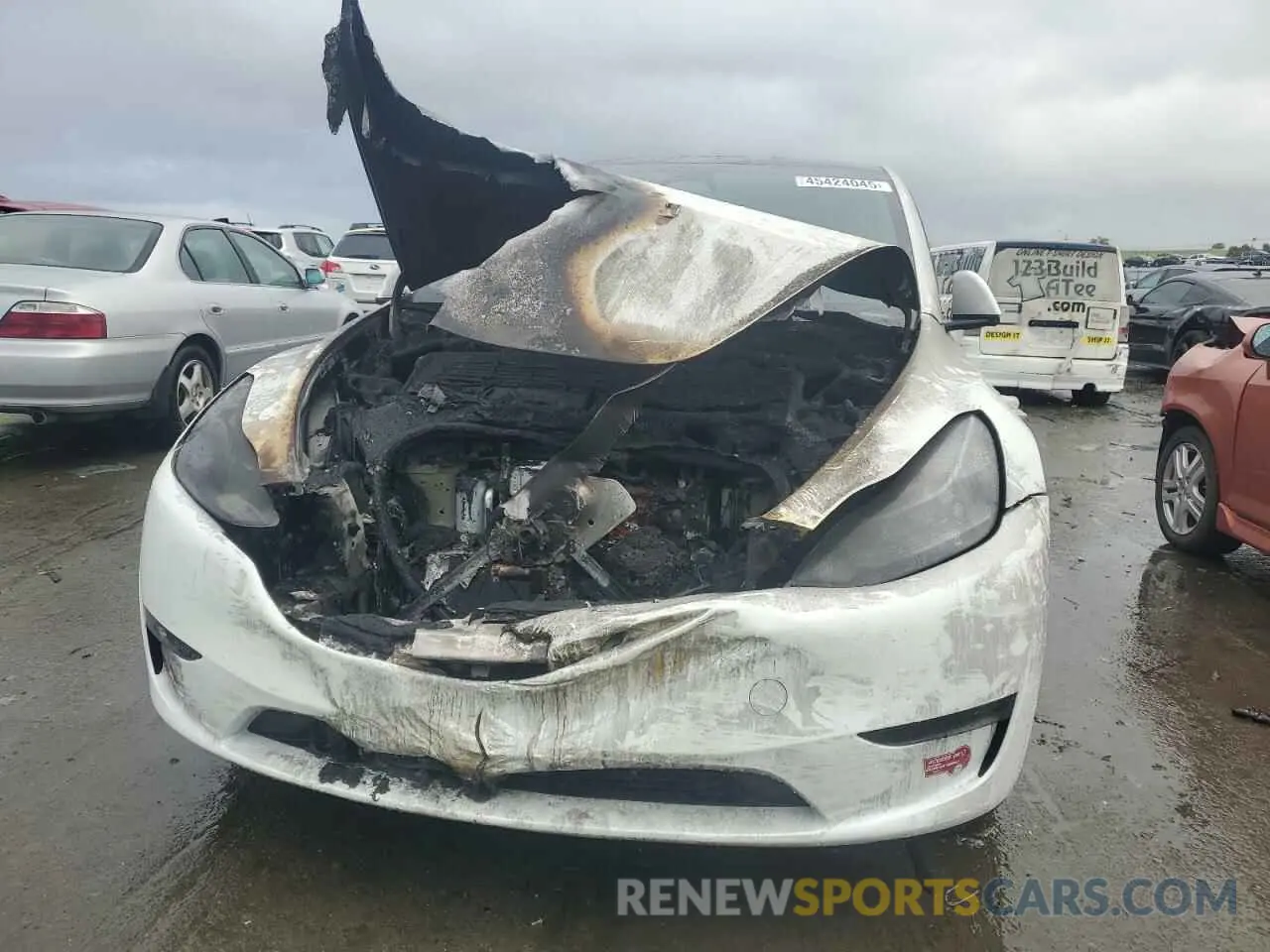 5 fotografías del automóvil dañado 7SAYGDEE8RF184292 TESLA MODEL Y 2024