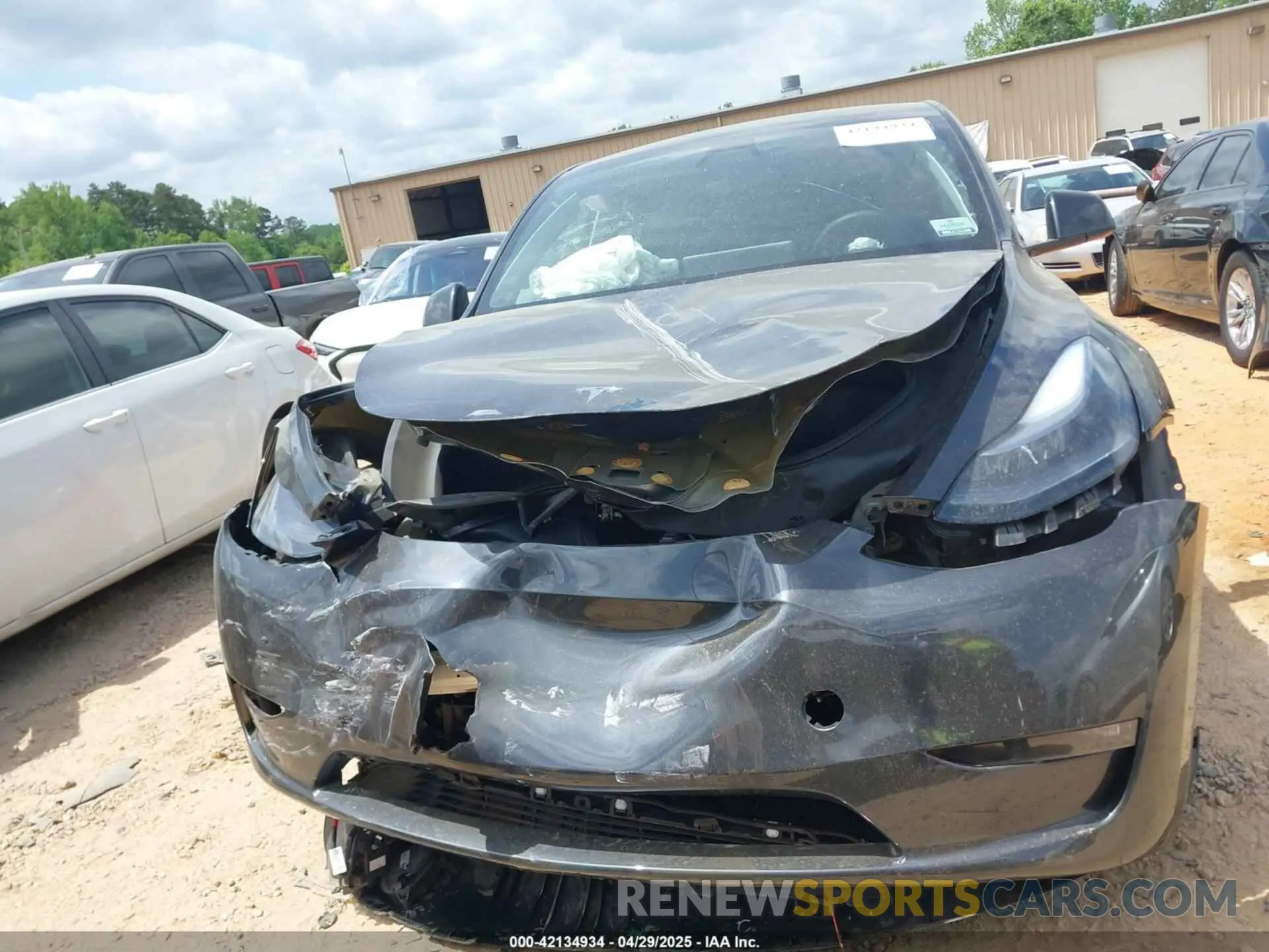 11 fotografías del automóvil dañado 7SAYGDEE8RF988950 TESLA MODEL Y 2024