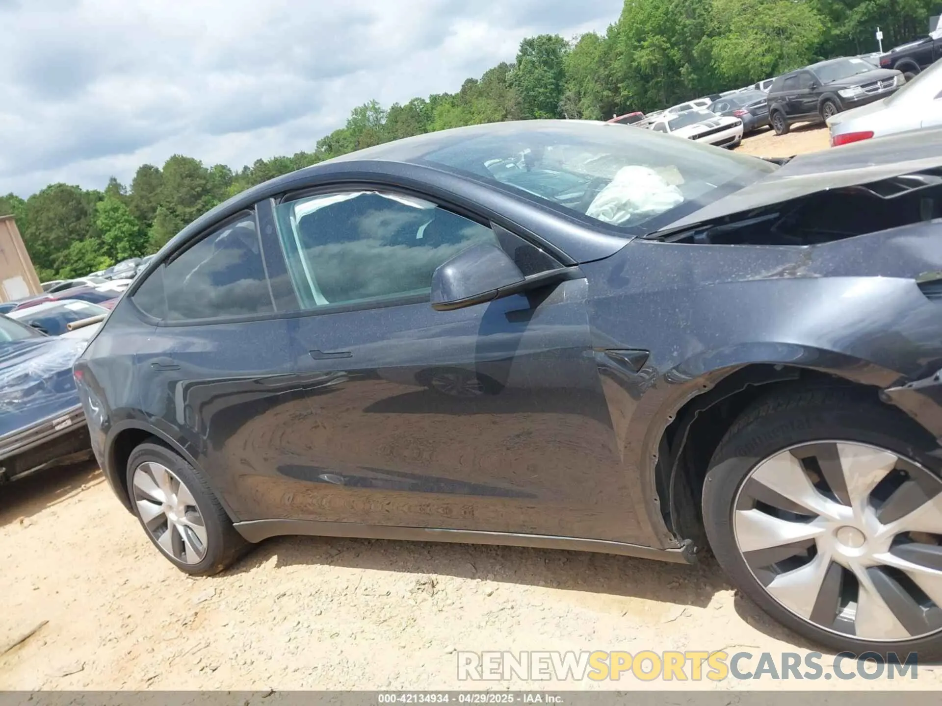 12 fotografías del automóvil dañado 7SAYGDEE8RF988950 TESLA MODEL Y 2024