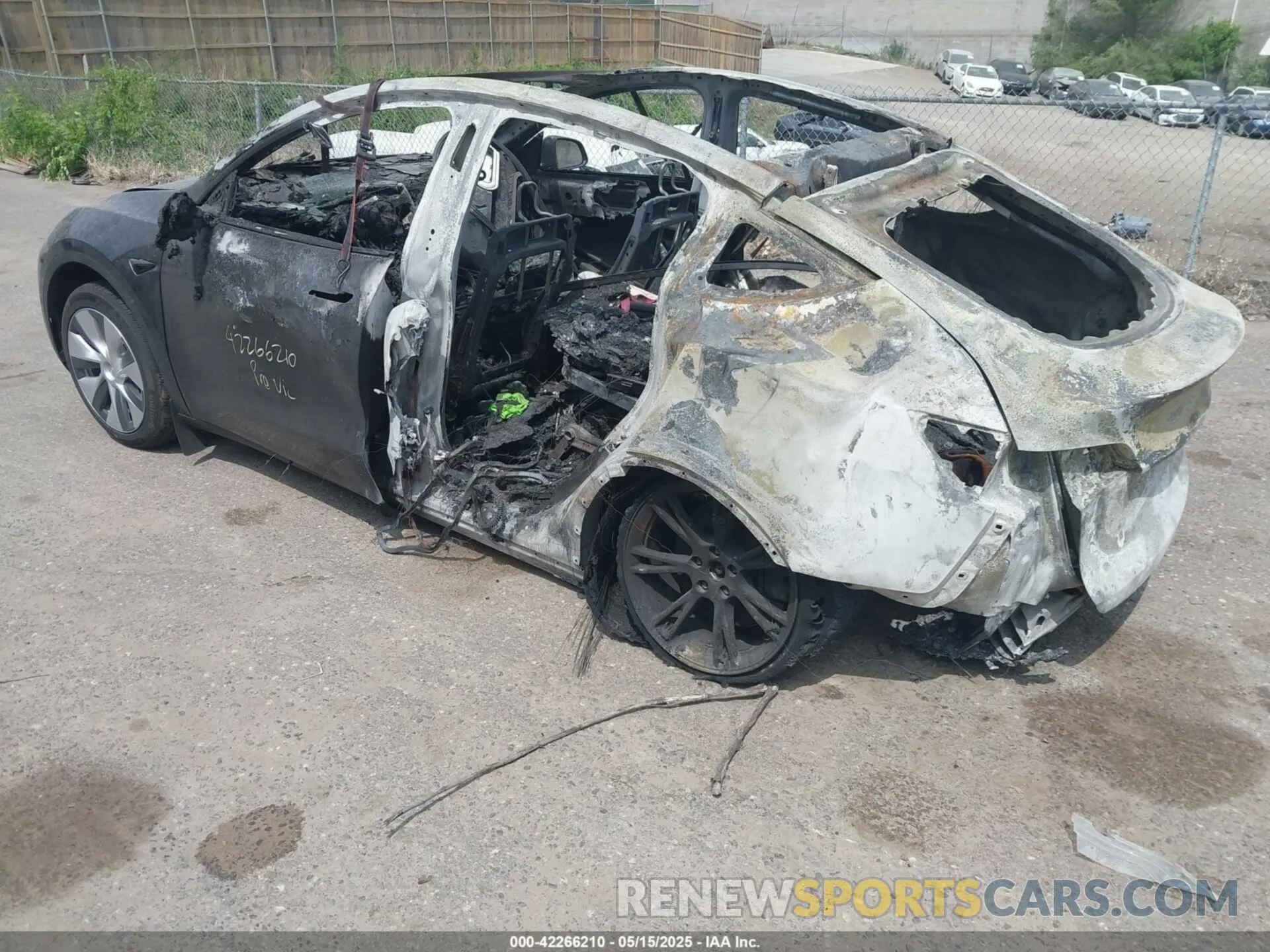 3 fotografías del automóvil dañado 7SAYGDEE8RF991377 TESLA MODEL Y 2024