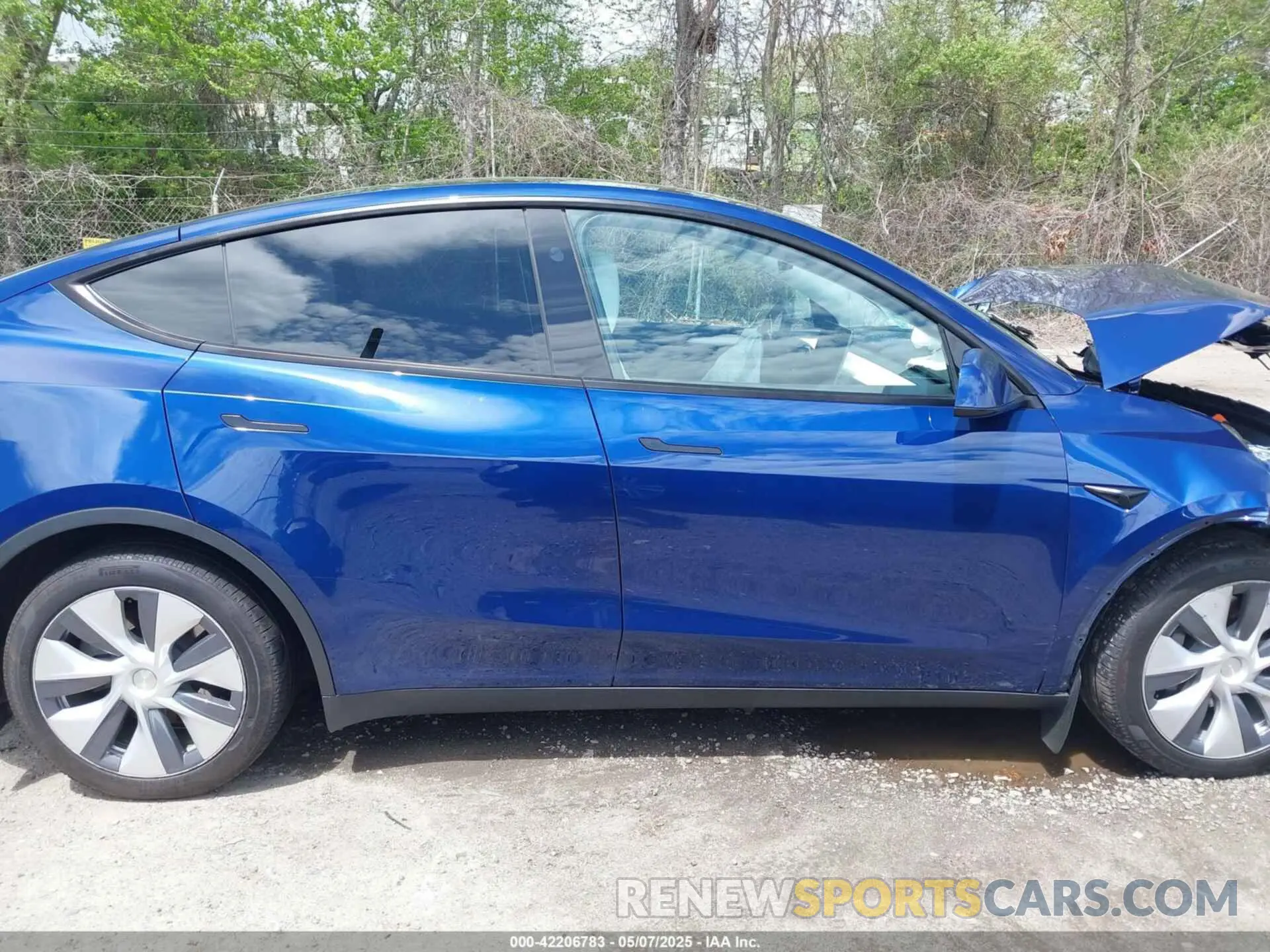 12 fotografías del automóvil dañado 7SAYGDEE9RA219631 TESLA MODEL Y 2024