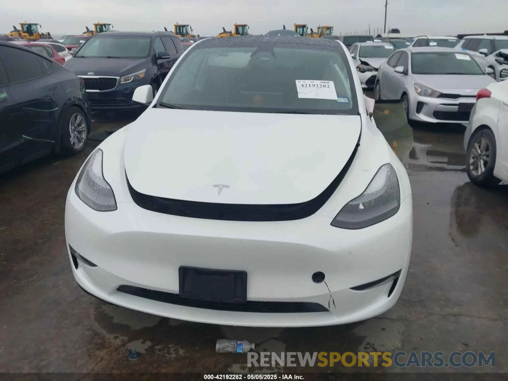 12 fotografías del automóvil dañado 7SAYGDEE9RA221573 TESLA MODEL Y 2024