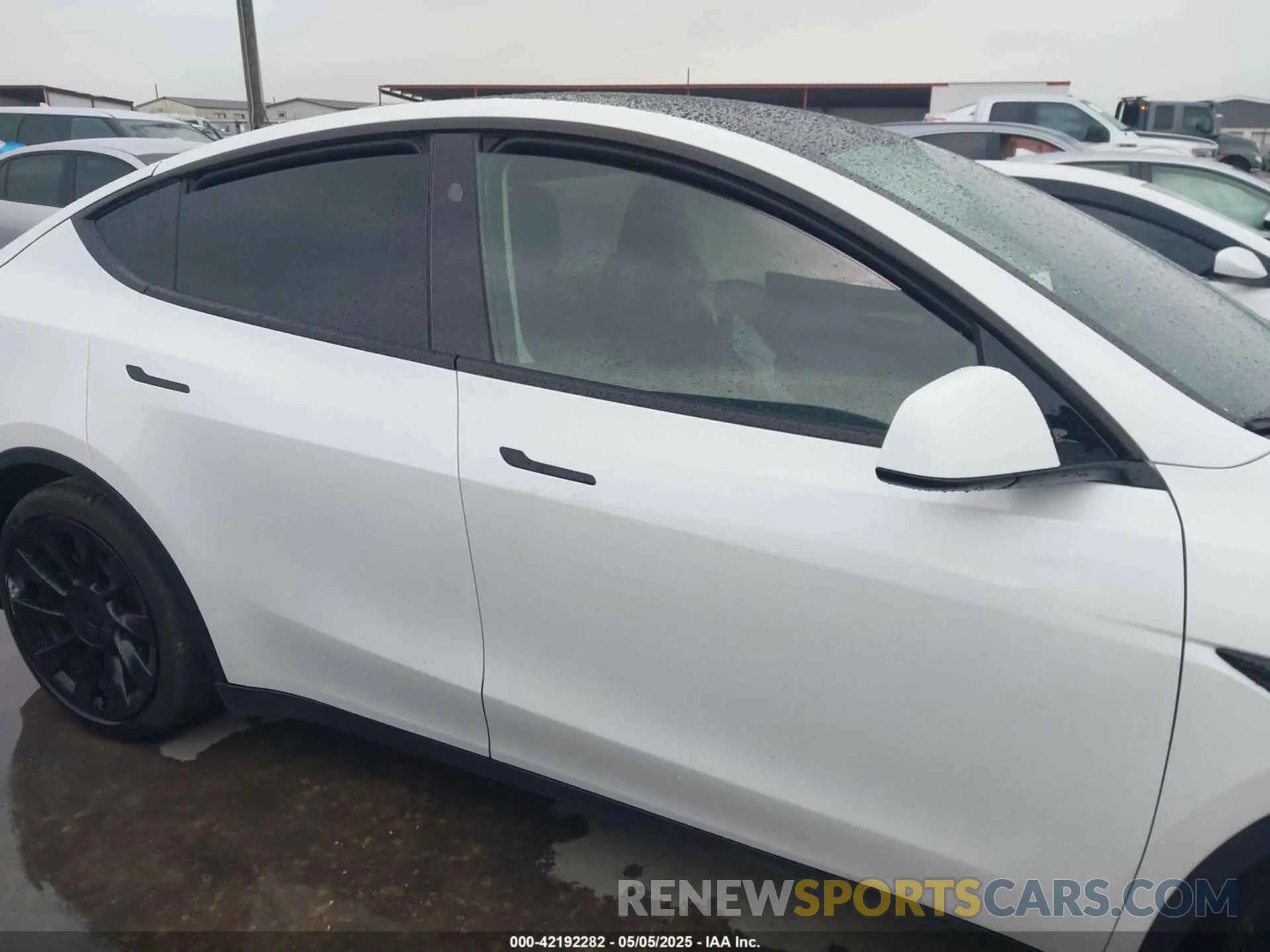 13 fotografías del automóvil dañado 7SAYGDEE9RA221573 TESLA MODEL Y 2024