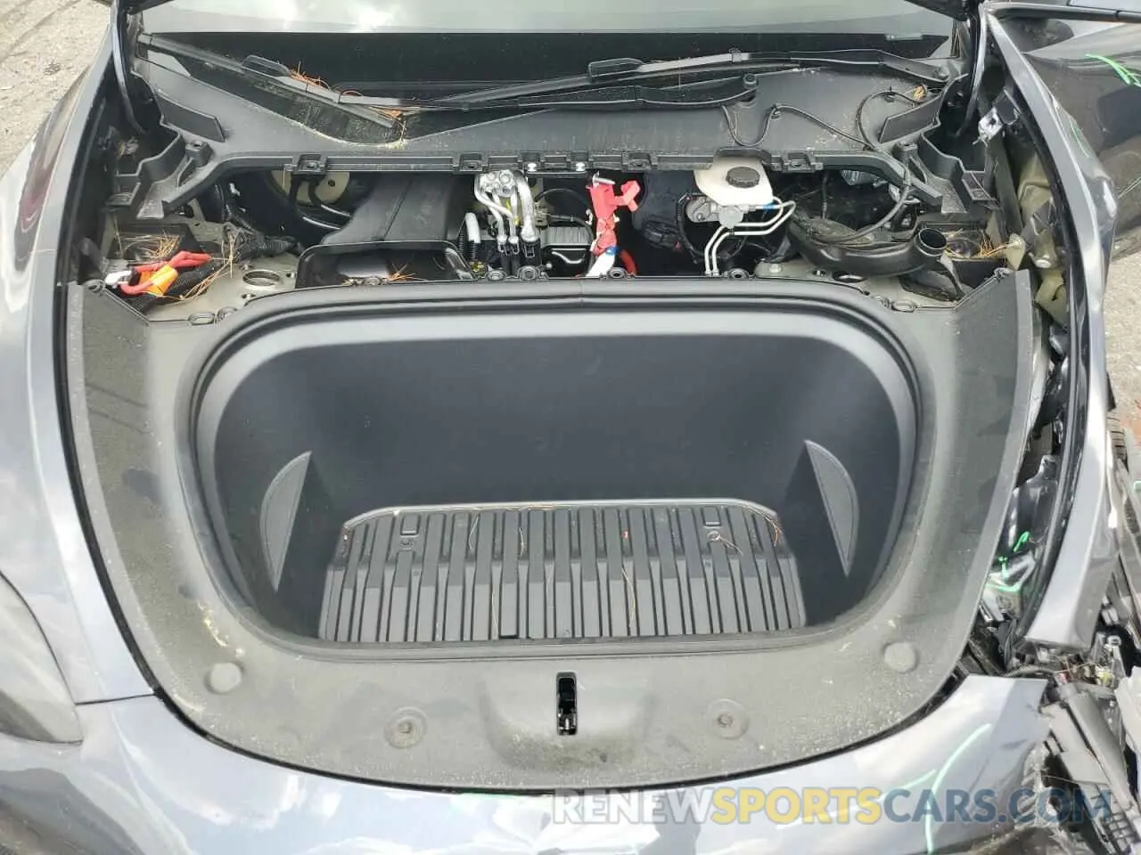 11 fotografías del automóvil dañado 7SAYGDEE9RA227129 TESLA MODEL Y 2024