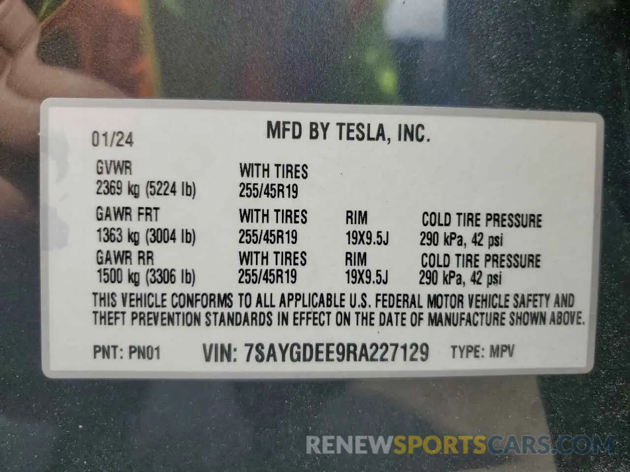 12 fotografías del automóvil dañado 7SAYGDEE9RA227129 TESLA MODEL Y 2024