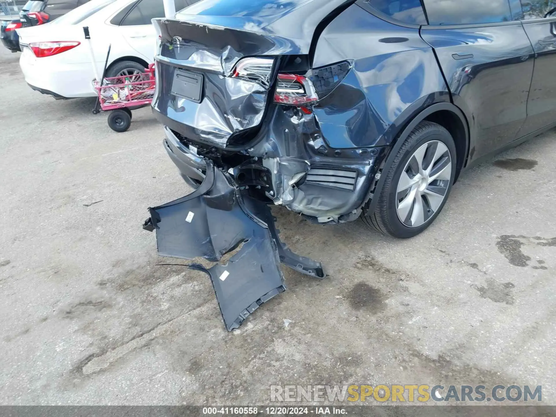 12 fotografías del automóvil dañado 7SAYGDEE9RA228474 TESLA MODEL Y 2024